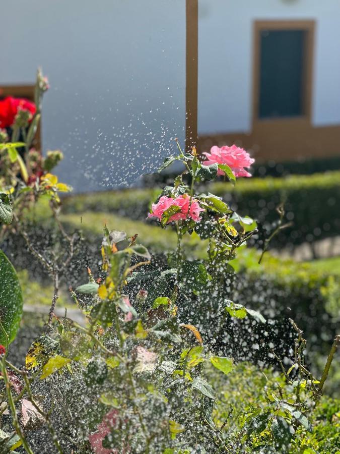 Solar Nossa Senhora Da Conceicao Holiday home *