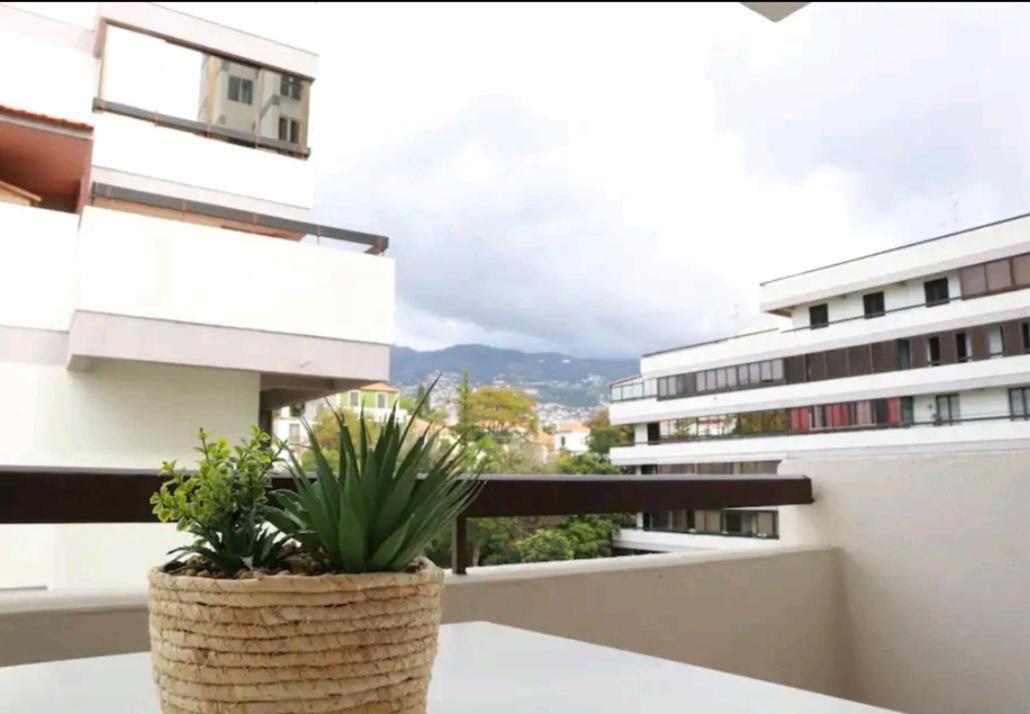 Vista Infante Apartment *