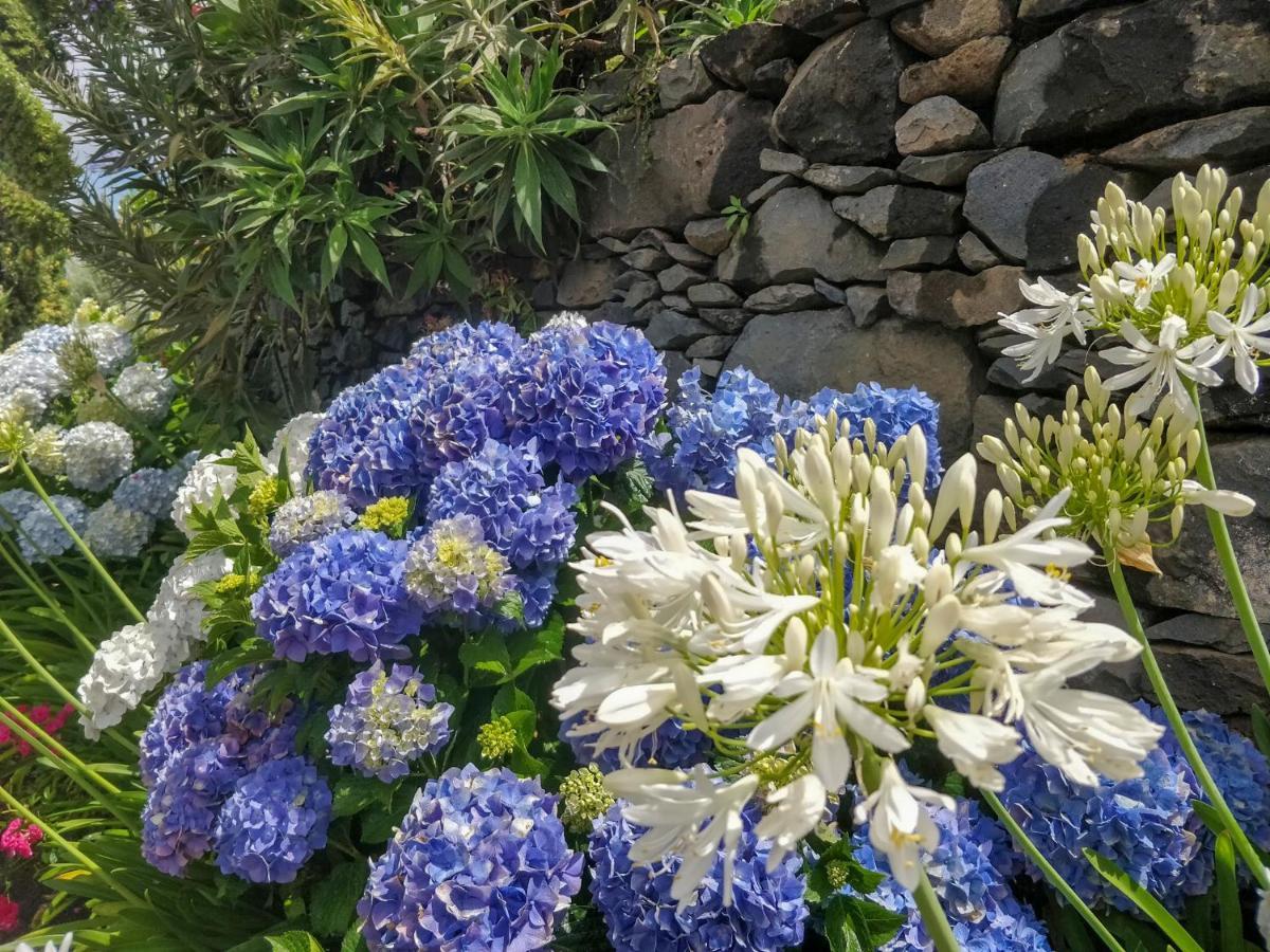 Chalet Achadinha - Mountain Arco da Calheta (Madeira)