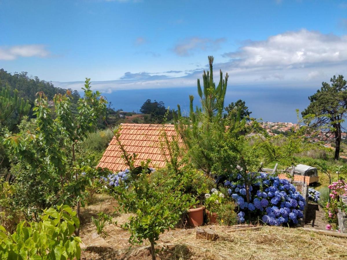 Achadinha - Mountain * Arco da Calheta (Madeira)