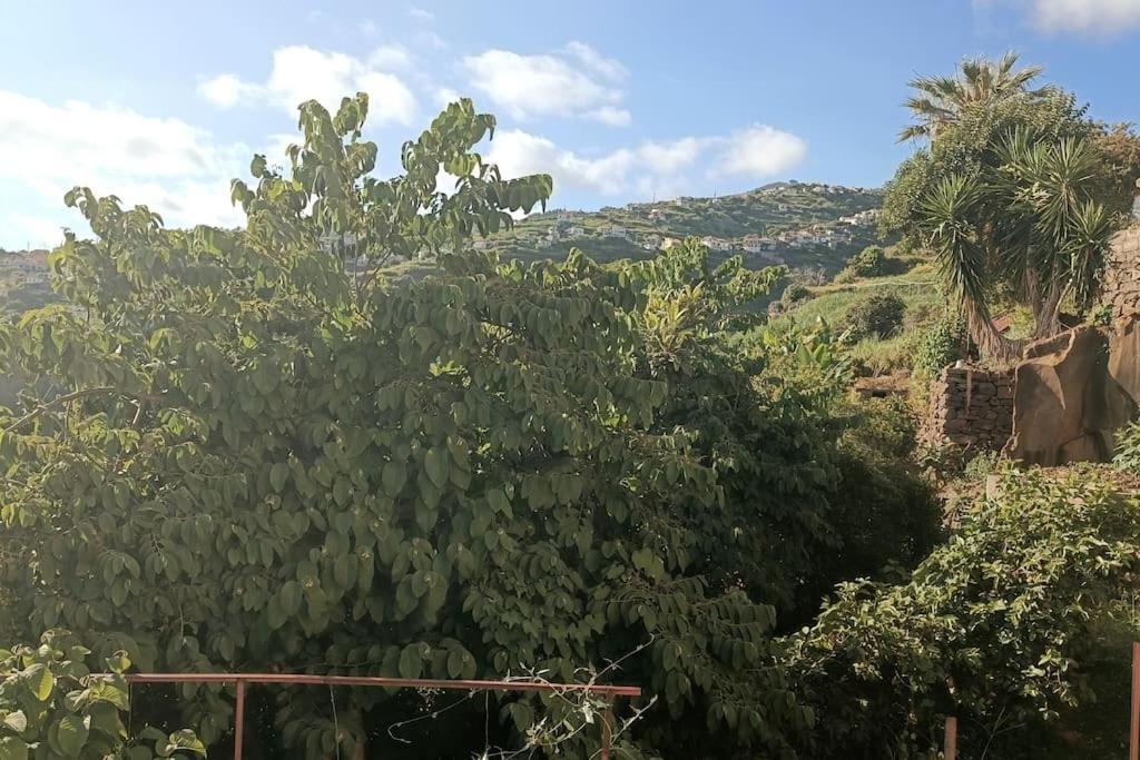 Appartement Casa Bela Vista 2