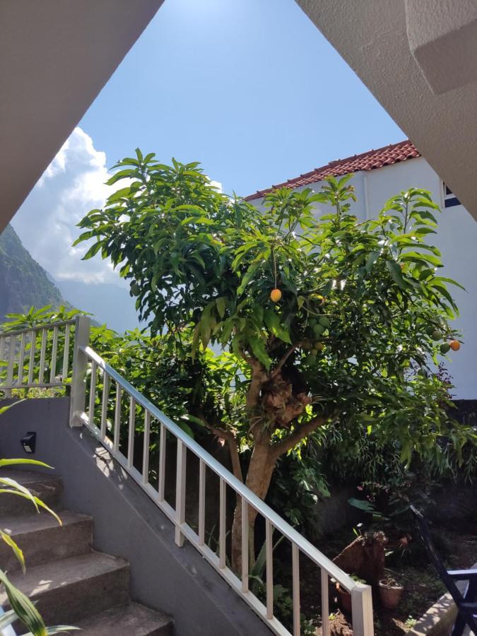 Casa Da Avo Rosa Habitación en casa particular São Vicente