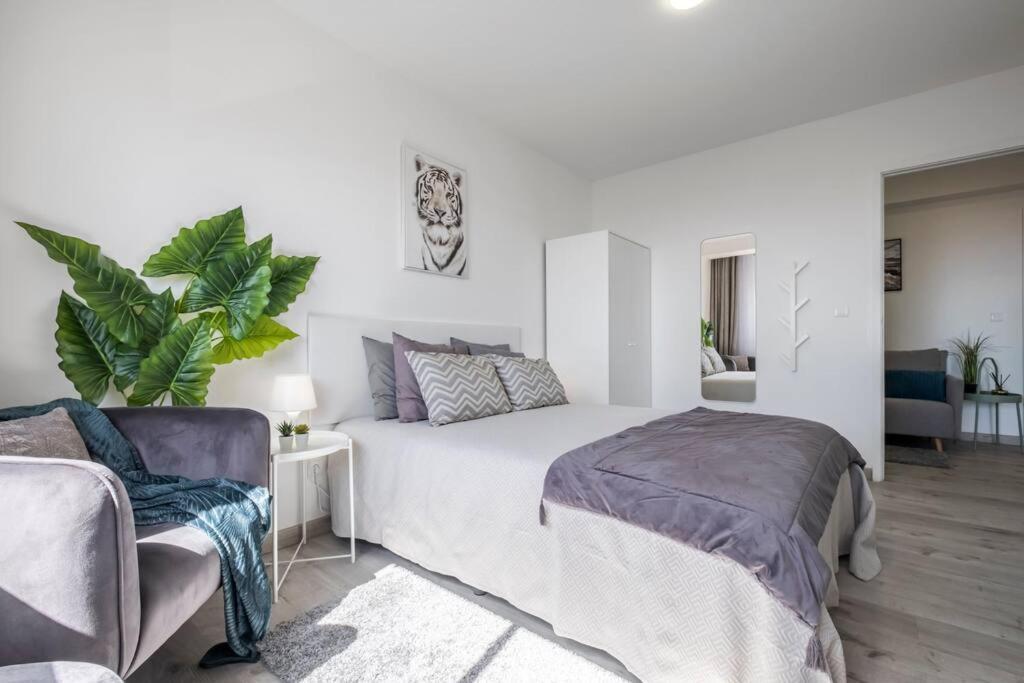 Super Platinum Apartment Funchal (Madeira)