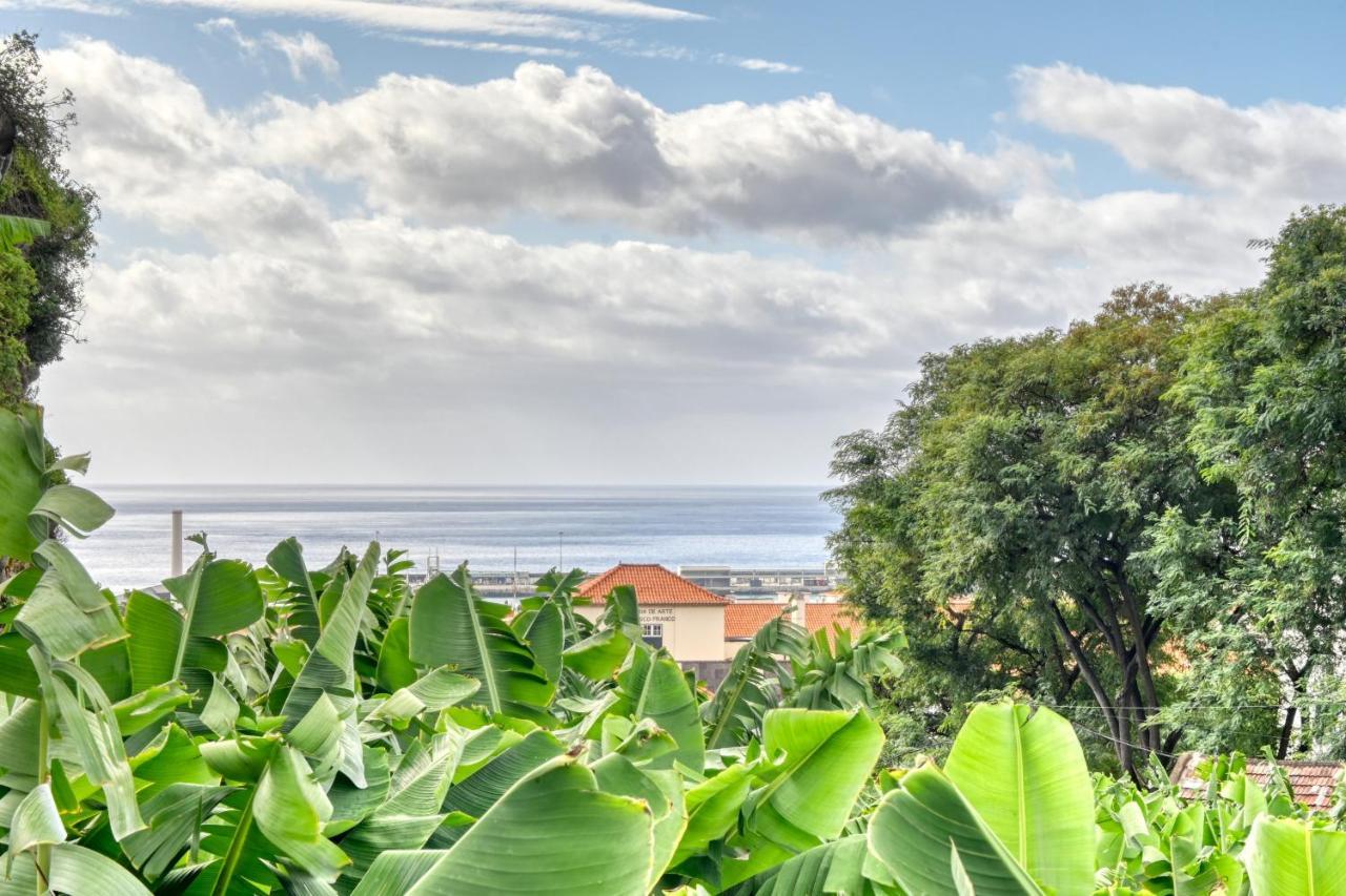 Rosa, A In Madeira Holiday home