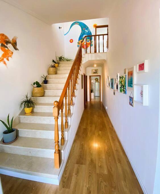 Ocean House Relax, Nature & Fun *