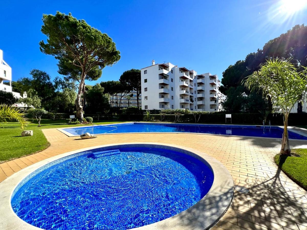 - Spacious With Swimming Pool & View Apartment