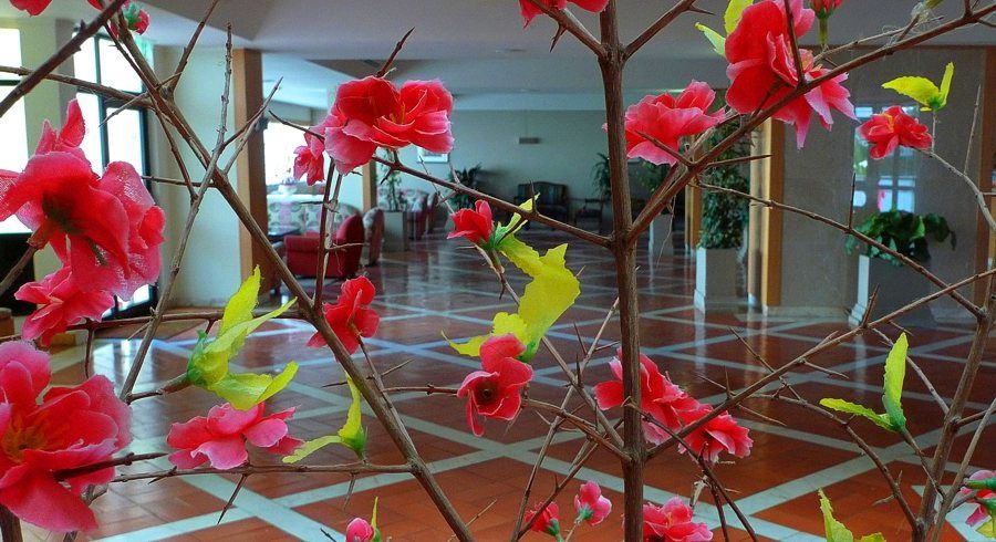 Sol & Hotel