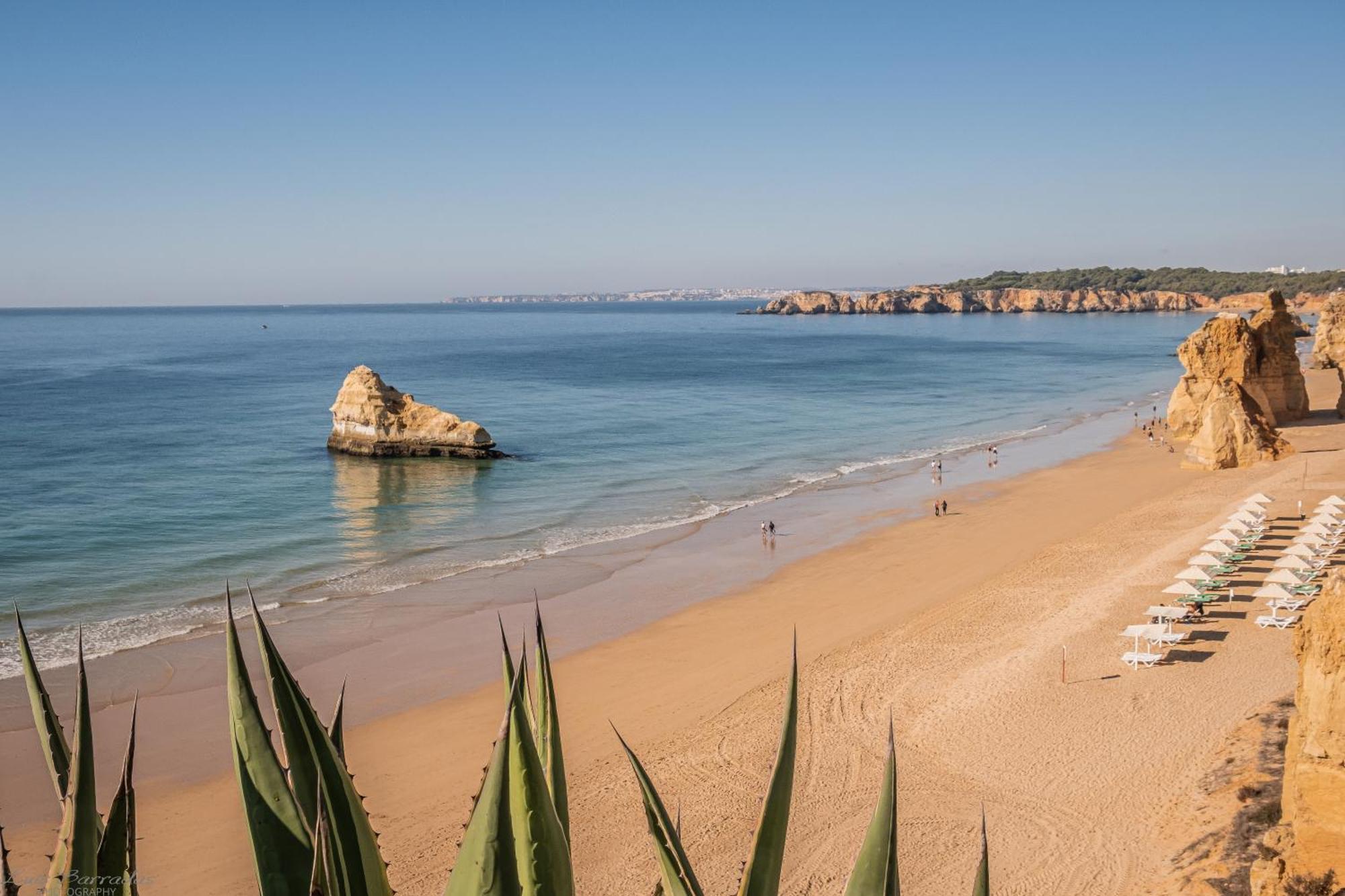 Apartamento Sea View 1b *