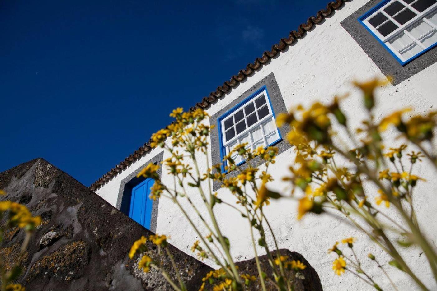 Casa Azul *