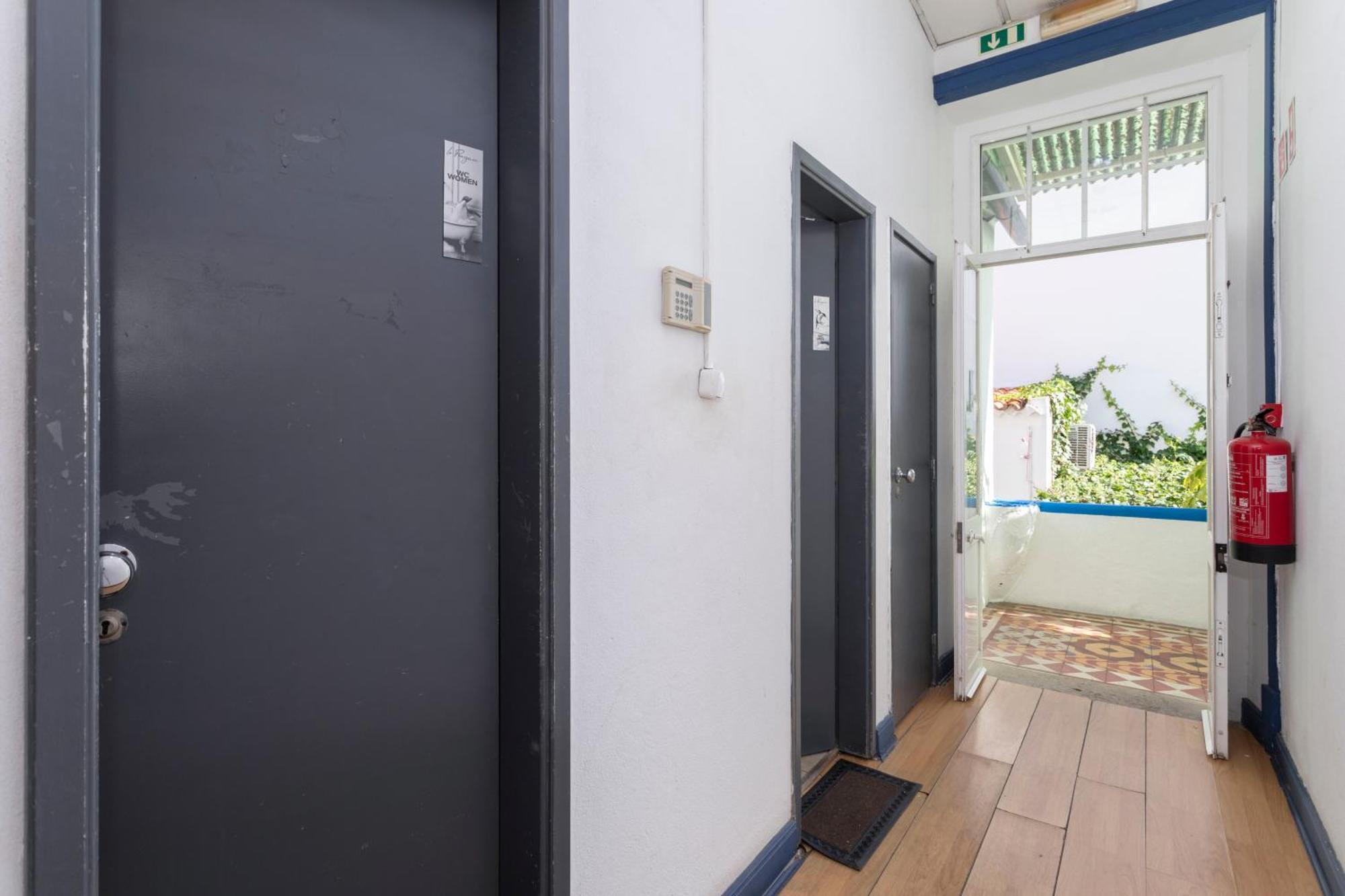 Le Penguin Albergue *