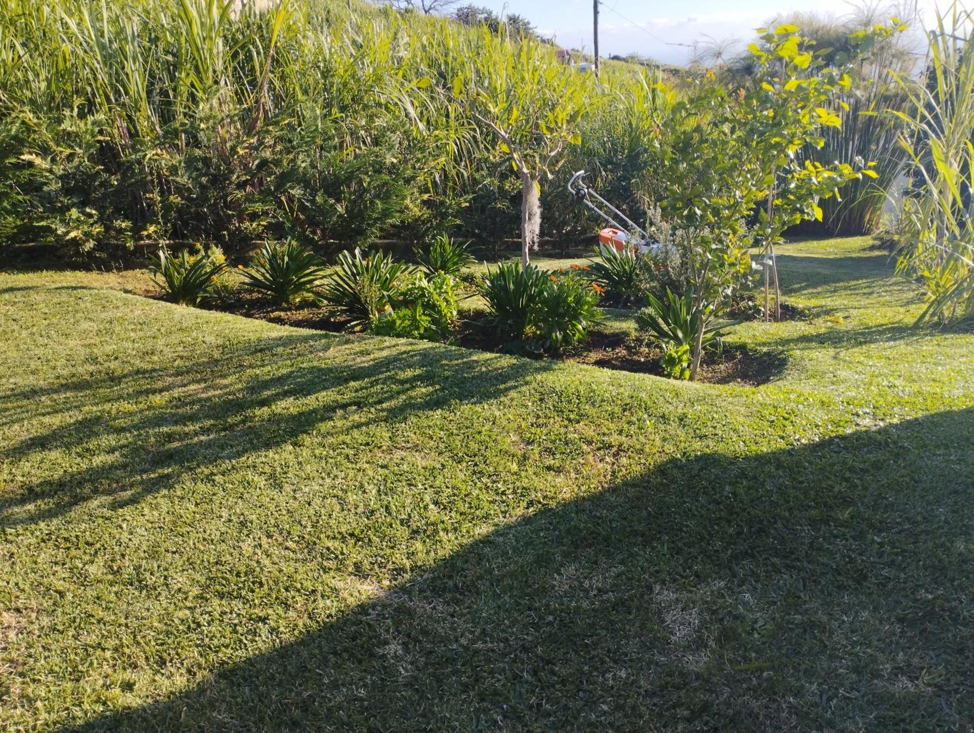 Holiday home Levada Nova House *