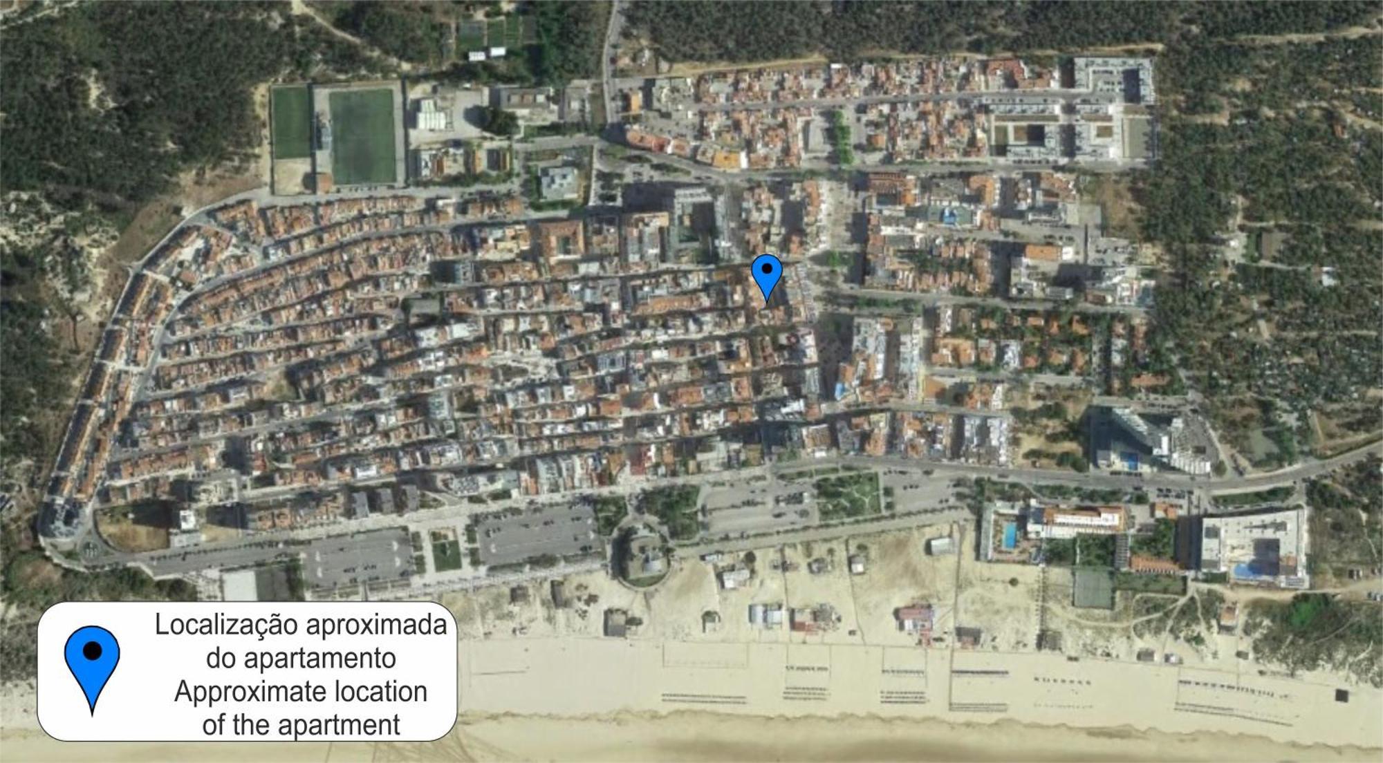 Carolino * Monte Gordo