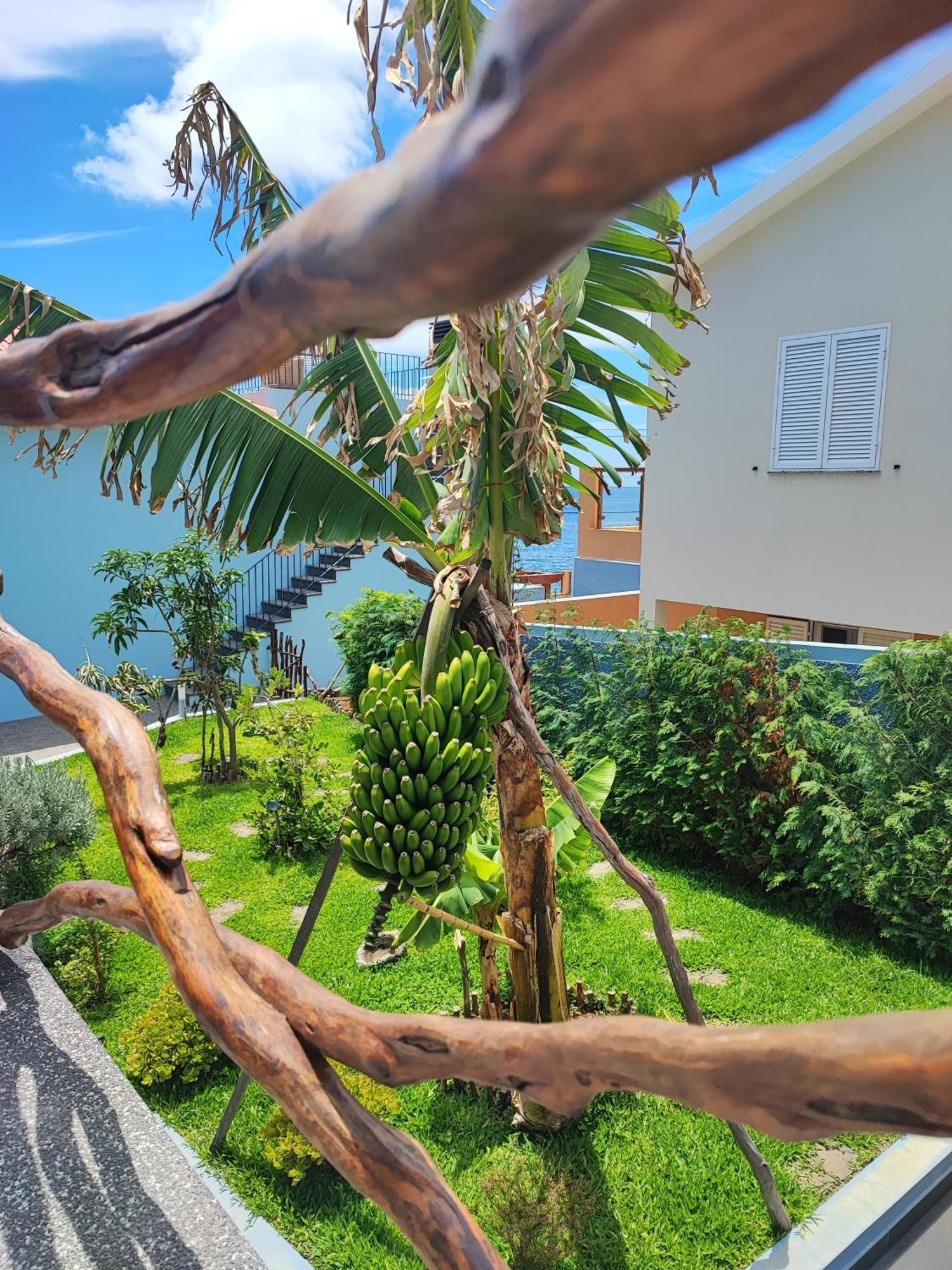Pearl - Rural Experience By Seapearl Holiday home *