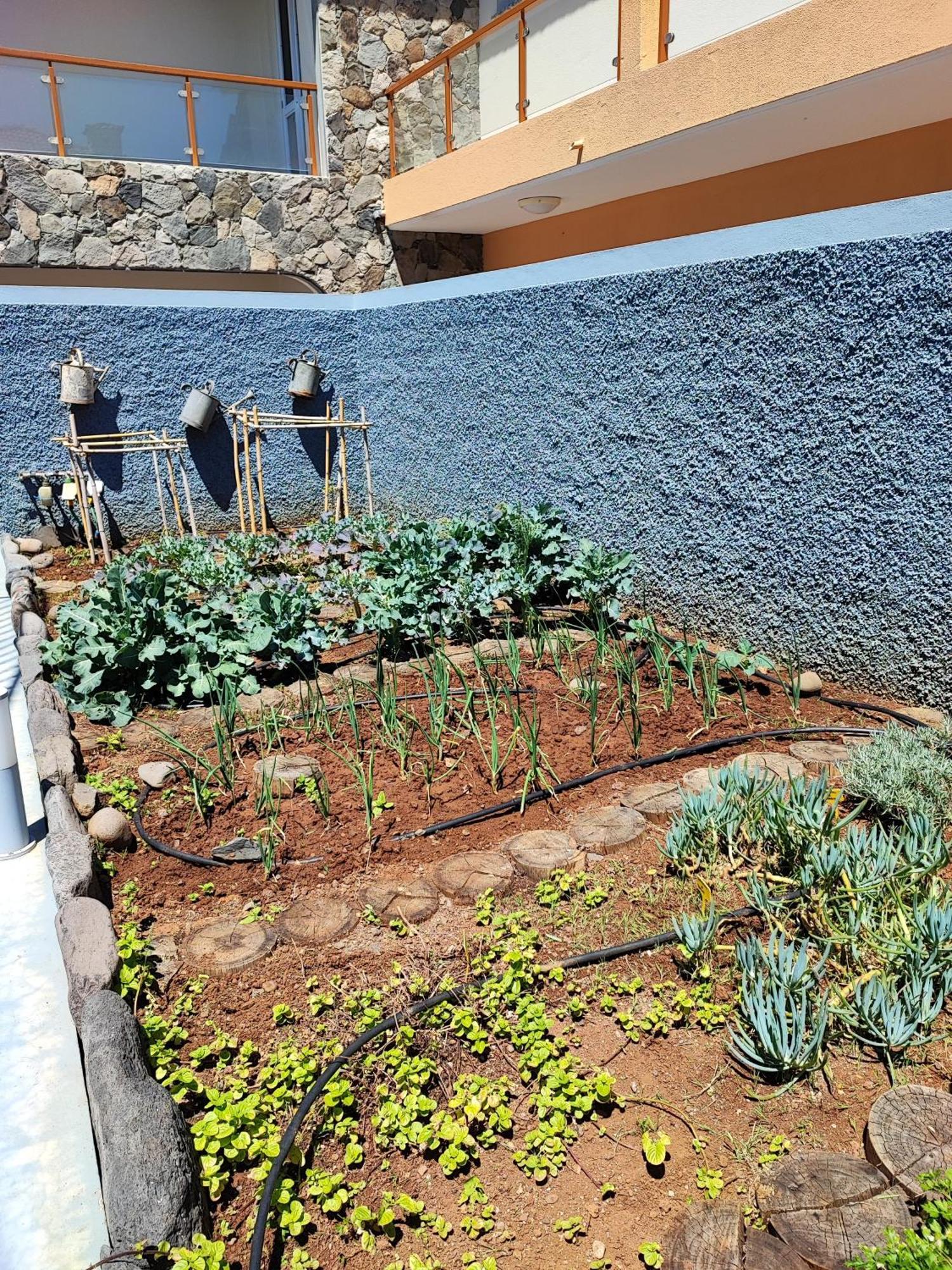 Pearl - Rural Experience By Seapearl * Paul do Mar (Madeira)