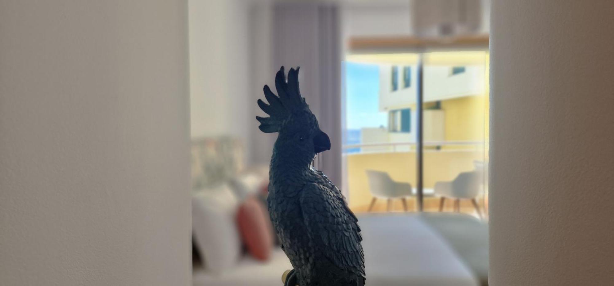 Appartement Glorious By Lovelystay Funchal (Madeira)