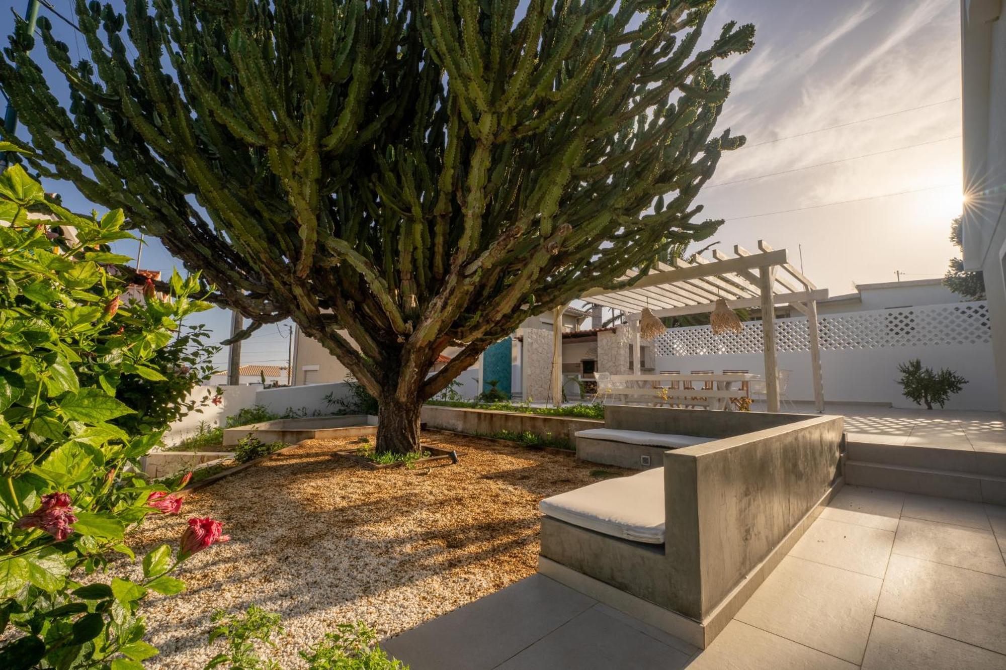 Villa Casa Do Cacto - By Wehost Porto Santo