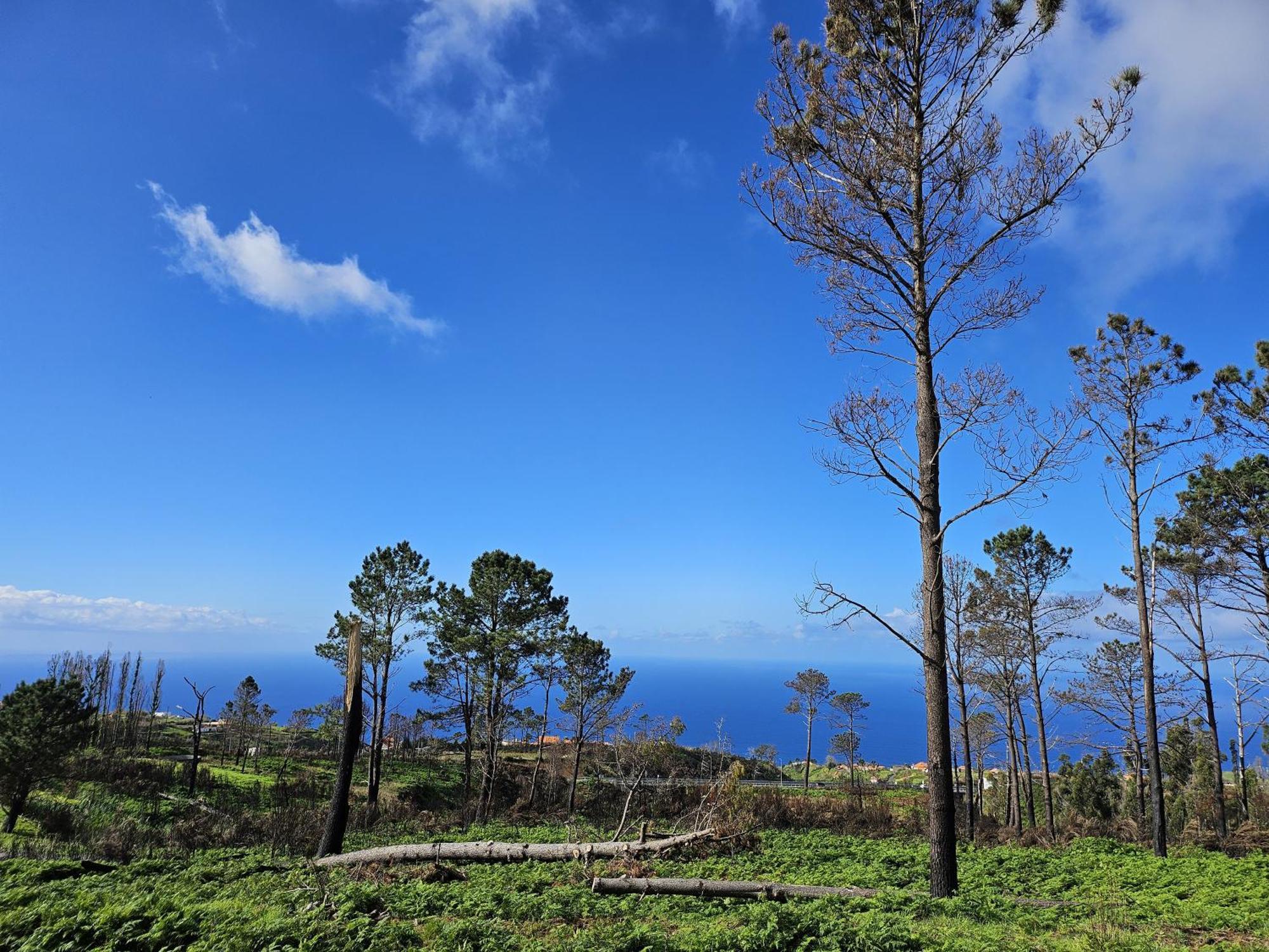 Maravilha Da Costa Holiday home *
