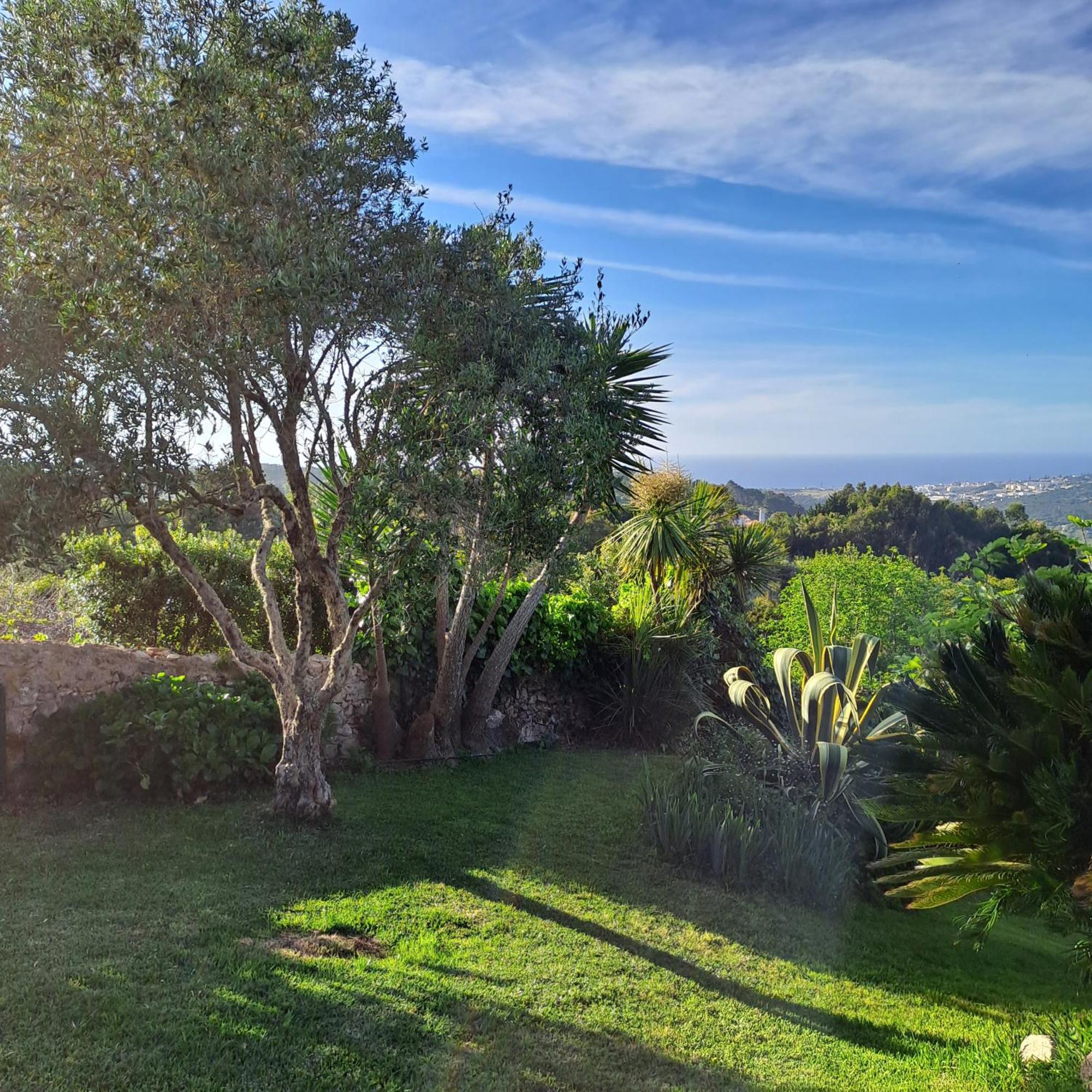 Holiday home Sintra V3 In Nordstarnan, Quiet Landscape With Stunning Views Of The Atlantic Coast, Colares, Sintra Colares