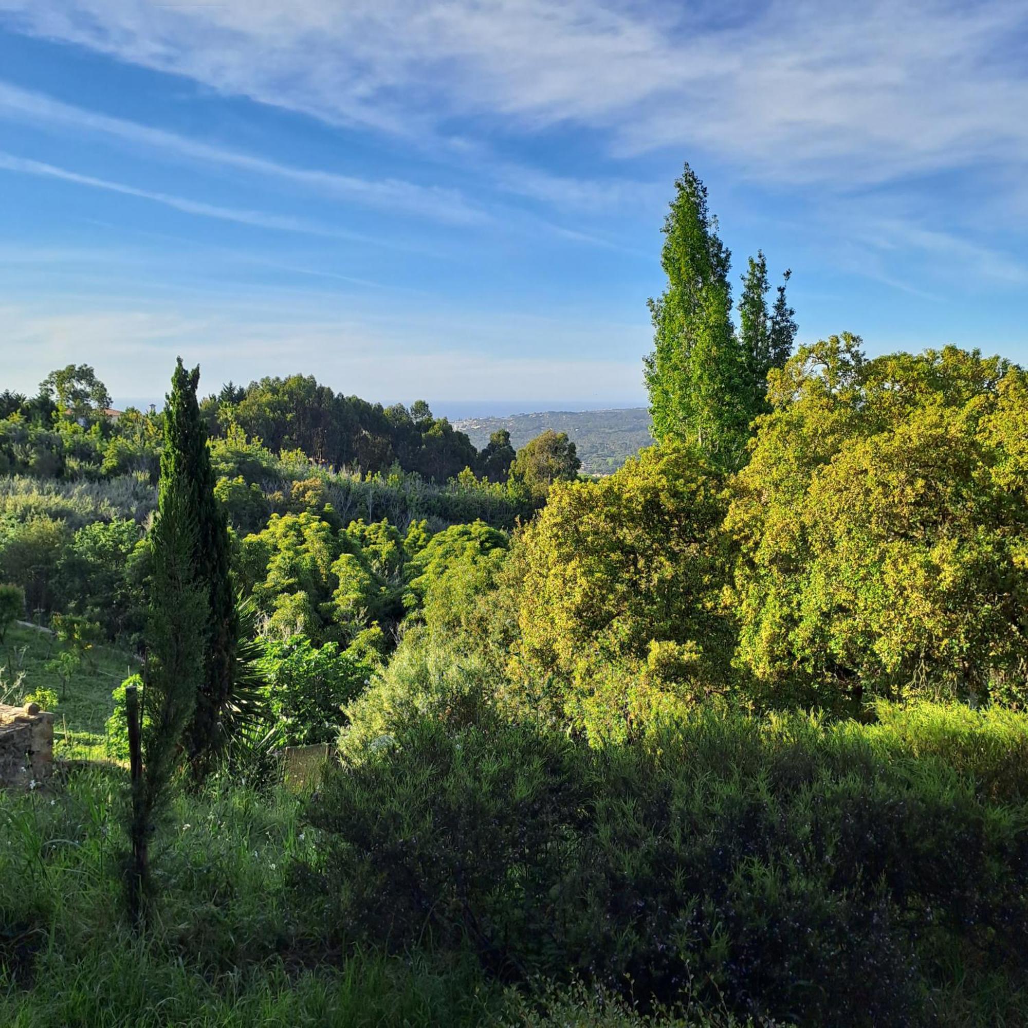 Sintra V3 In Nordstarnan, Quiet Landscape With Stunning Views Of The Atlantic Coast, Colares, Sintra * Colares