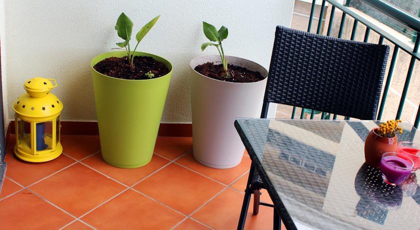 Pateo Abegoaria Apartment Canico (Madeira)