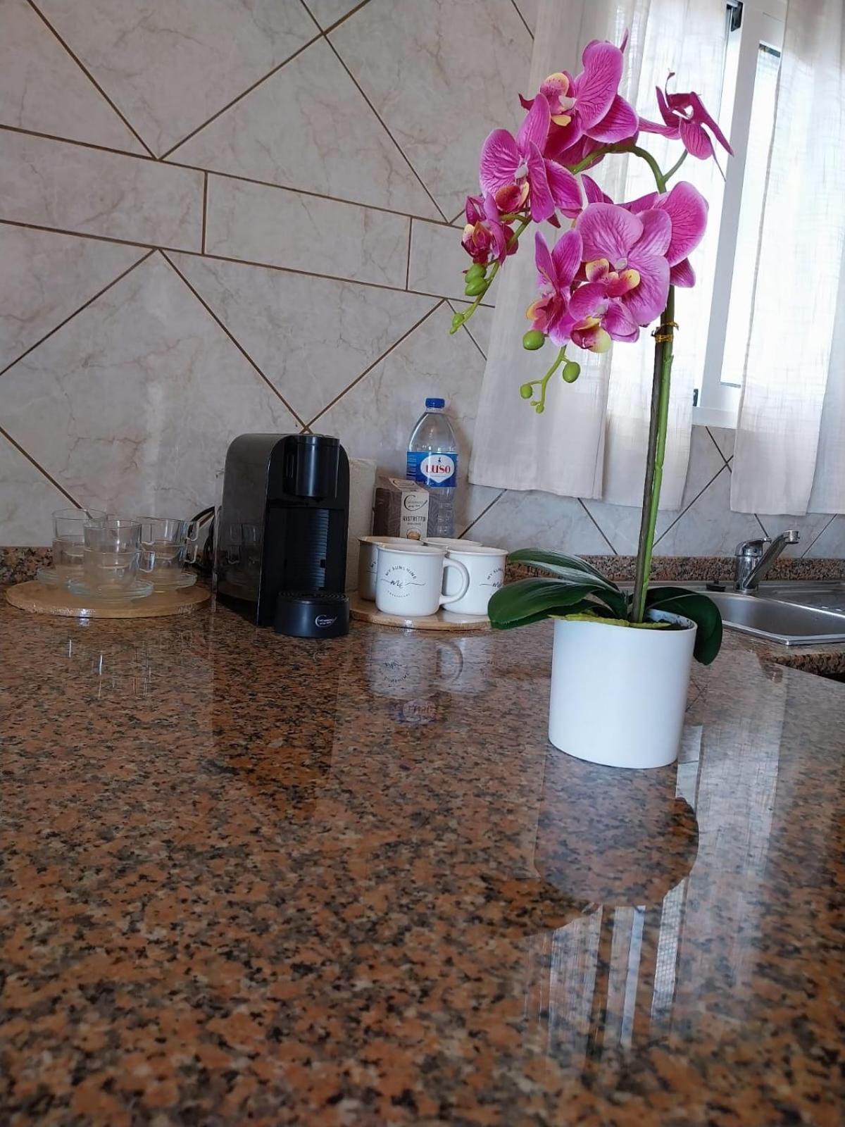 Casa Do Pico Holiday home Sao Vicente (Madeira)