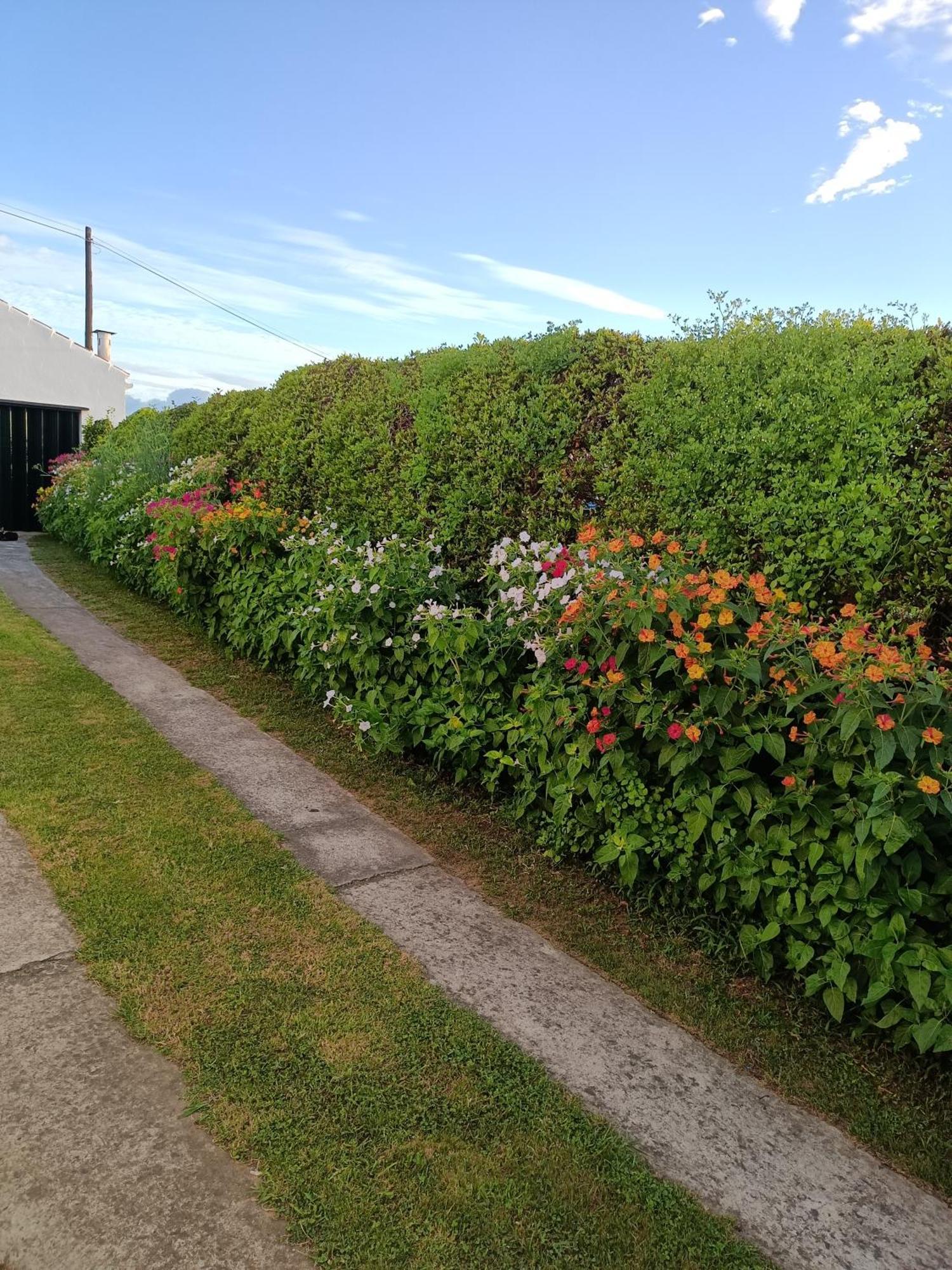 Casa Da Atalaia Holiday home *