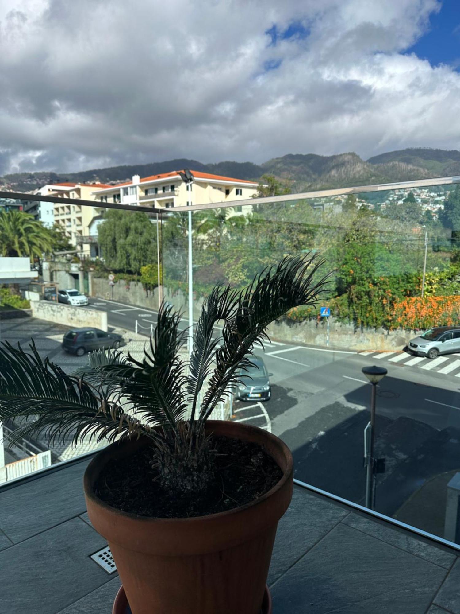 Raphael Views Funchal (Madeira)