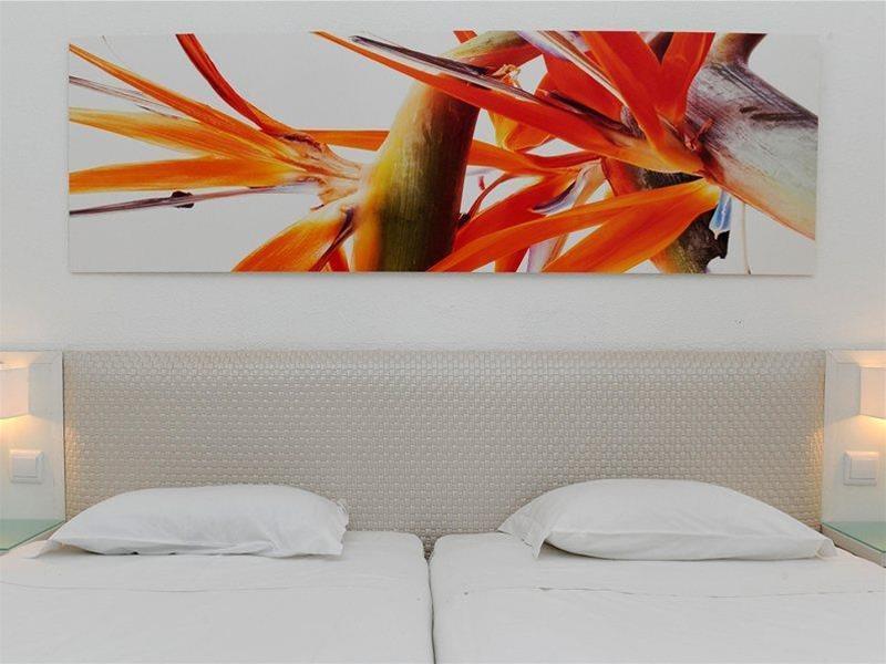 Hotel Dorisol Estrelicia