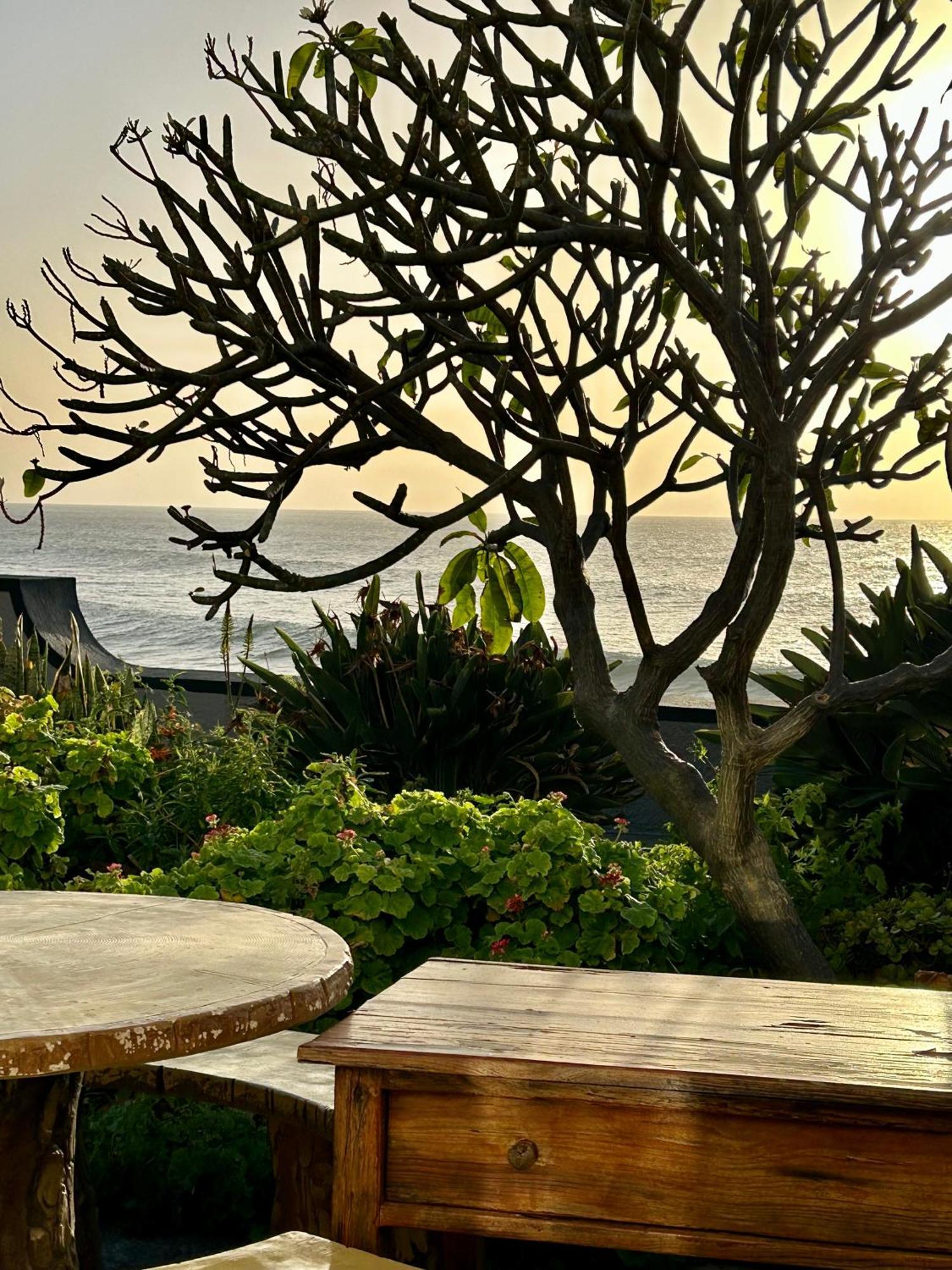 Casa Carneirinho By Ola Madeira Villa