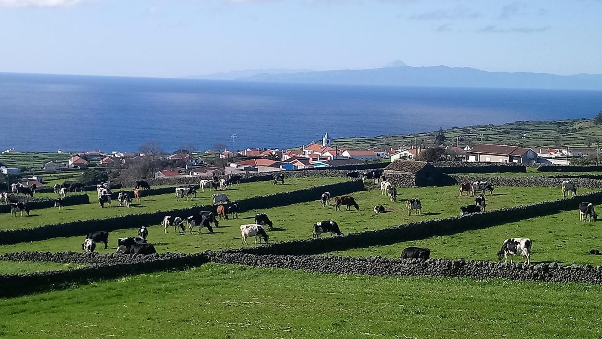 O Miradouro Angra do Heroismo