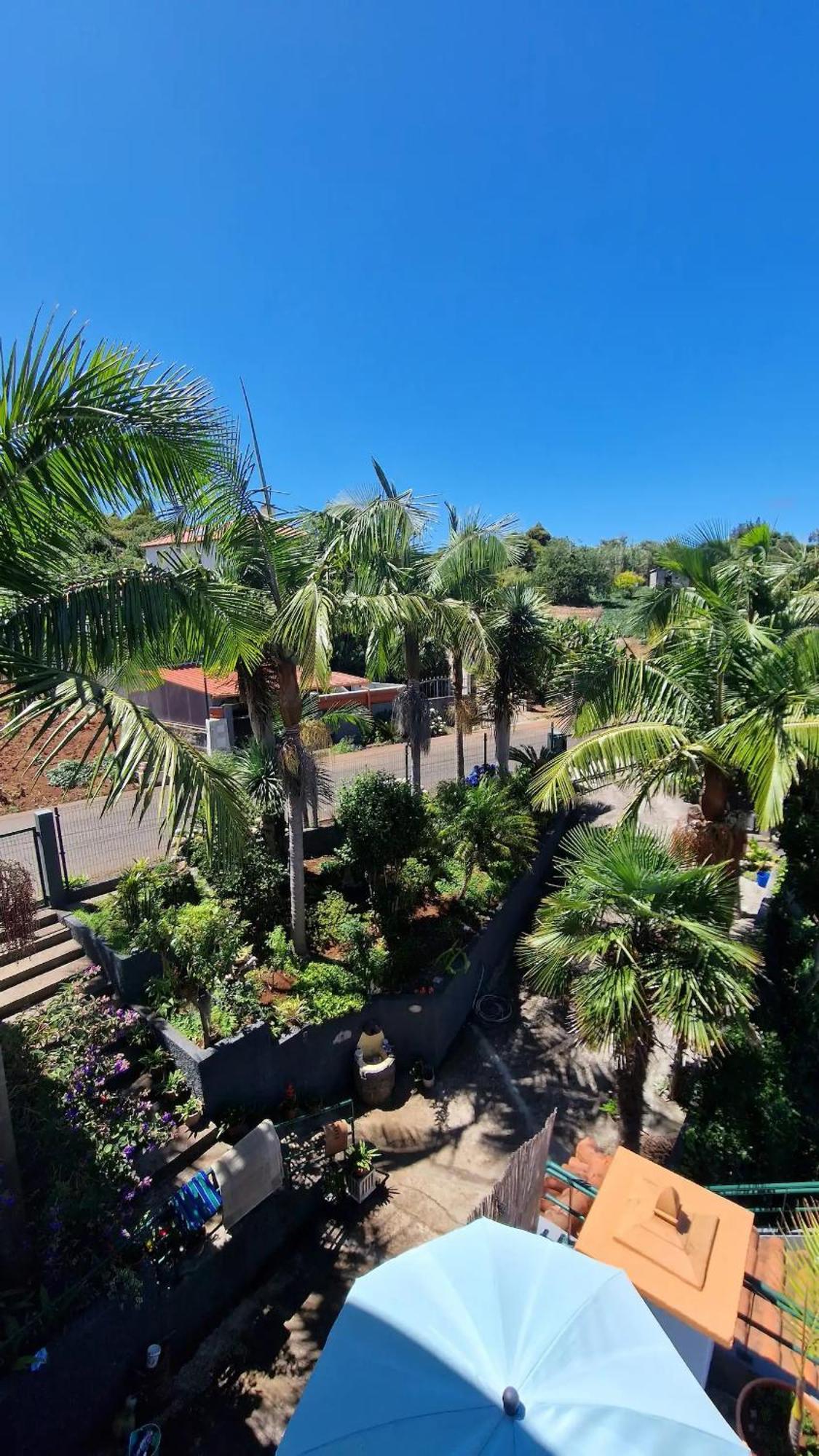 Alta Vista Country house Sao Jorge (Madeira)