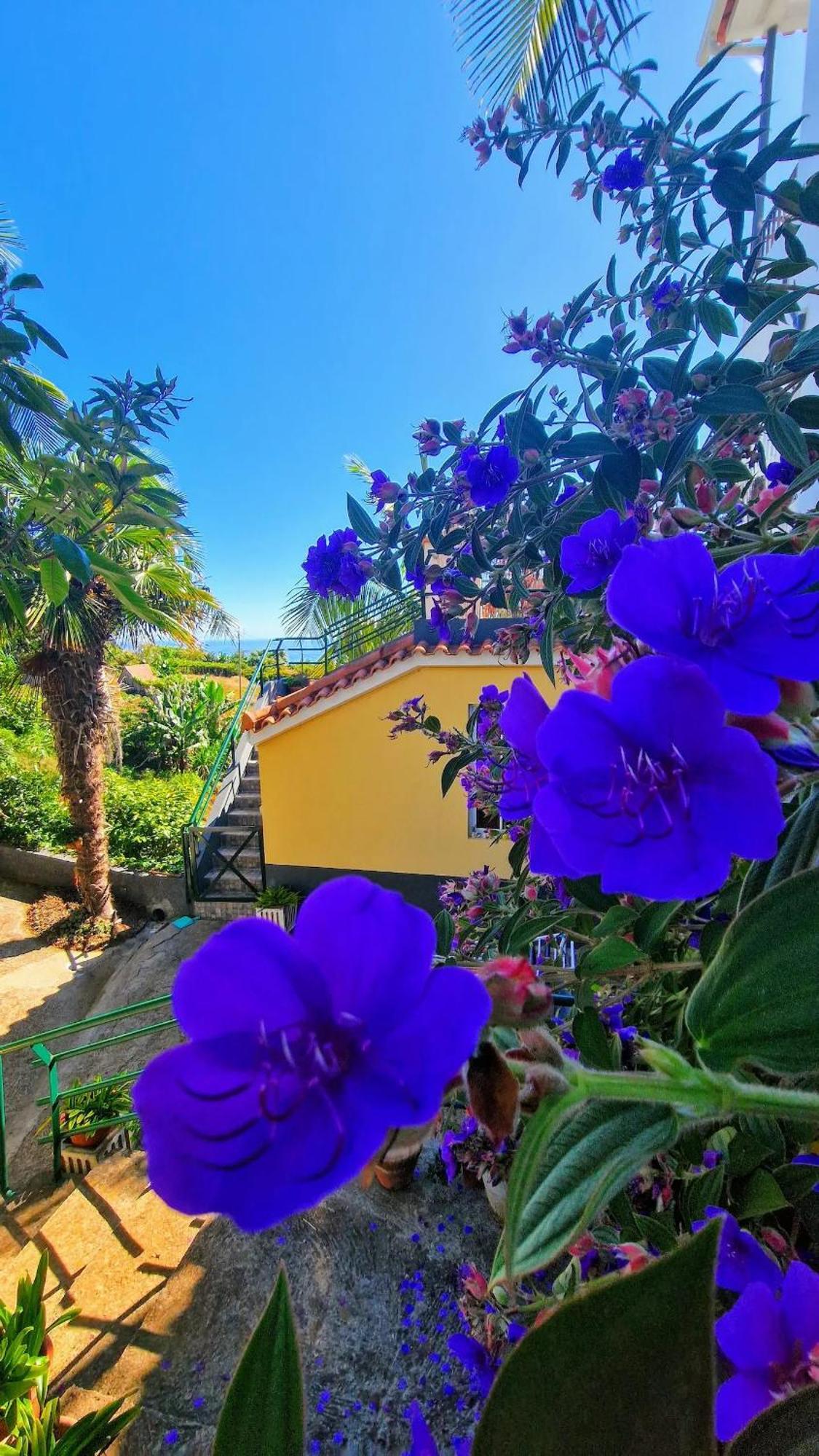 Alta Vista Country house *