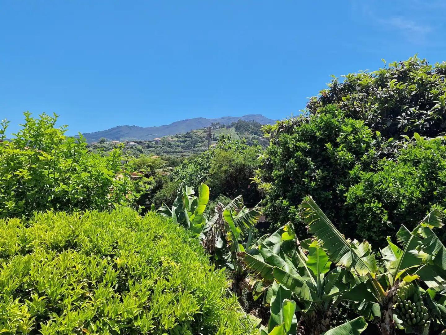 Country house Alta Vista *