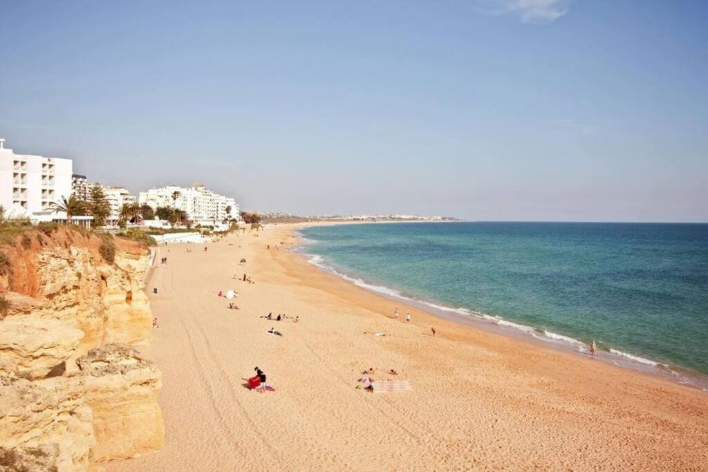 Ocean Terrace