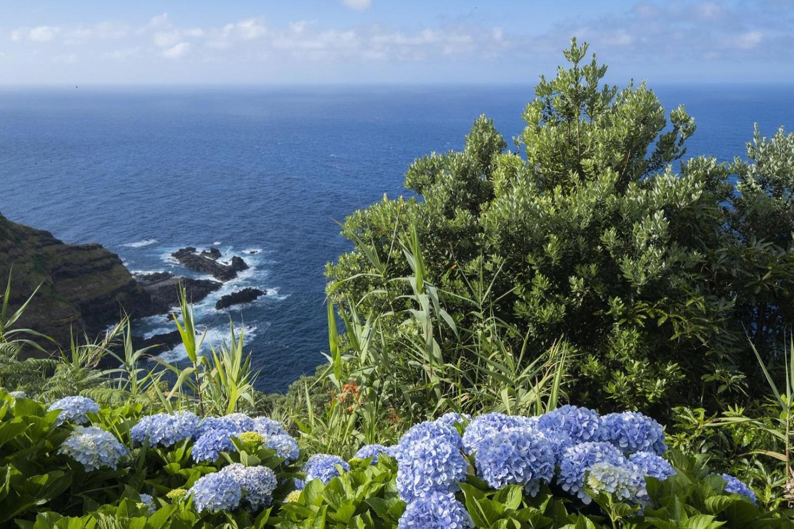 Welcomebuddy - Casa Do Moinho Garden & Sea Retreat * Ponta Delgada (Sao Miguel)
