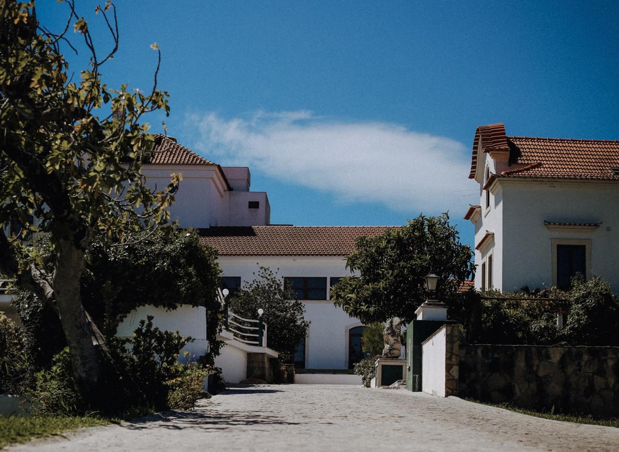 Quinta D'anta- Rural Hotel 3*