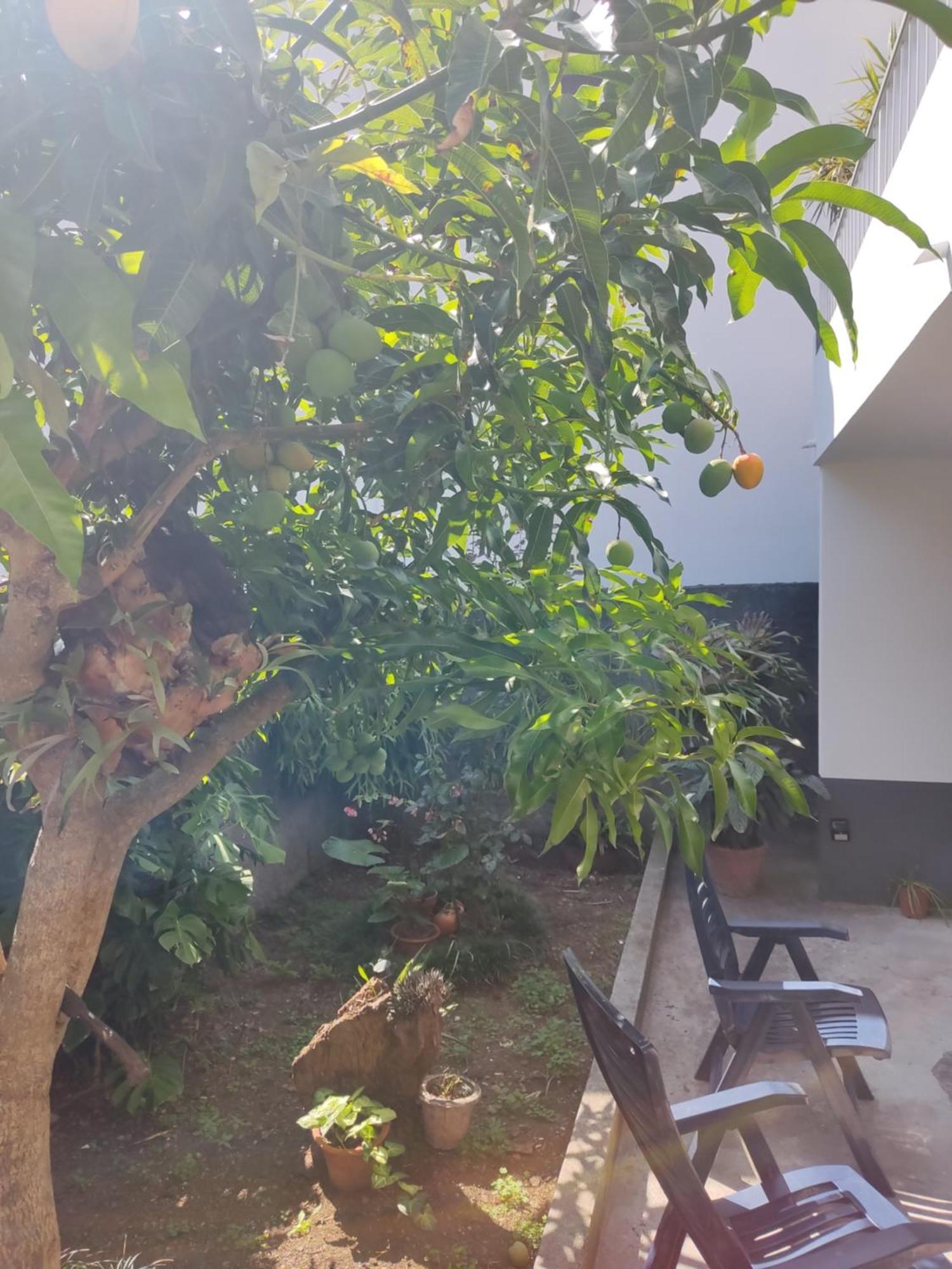 Casa Da Avo Rosa Habitación en casa particular