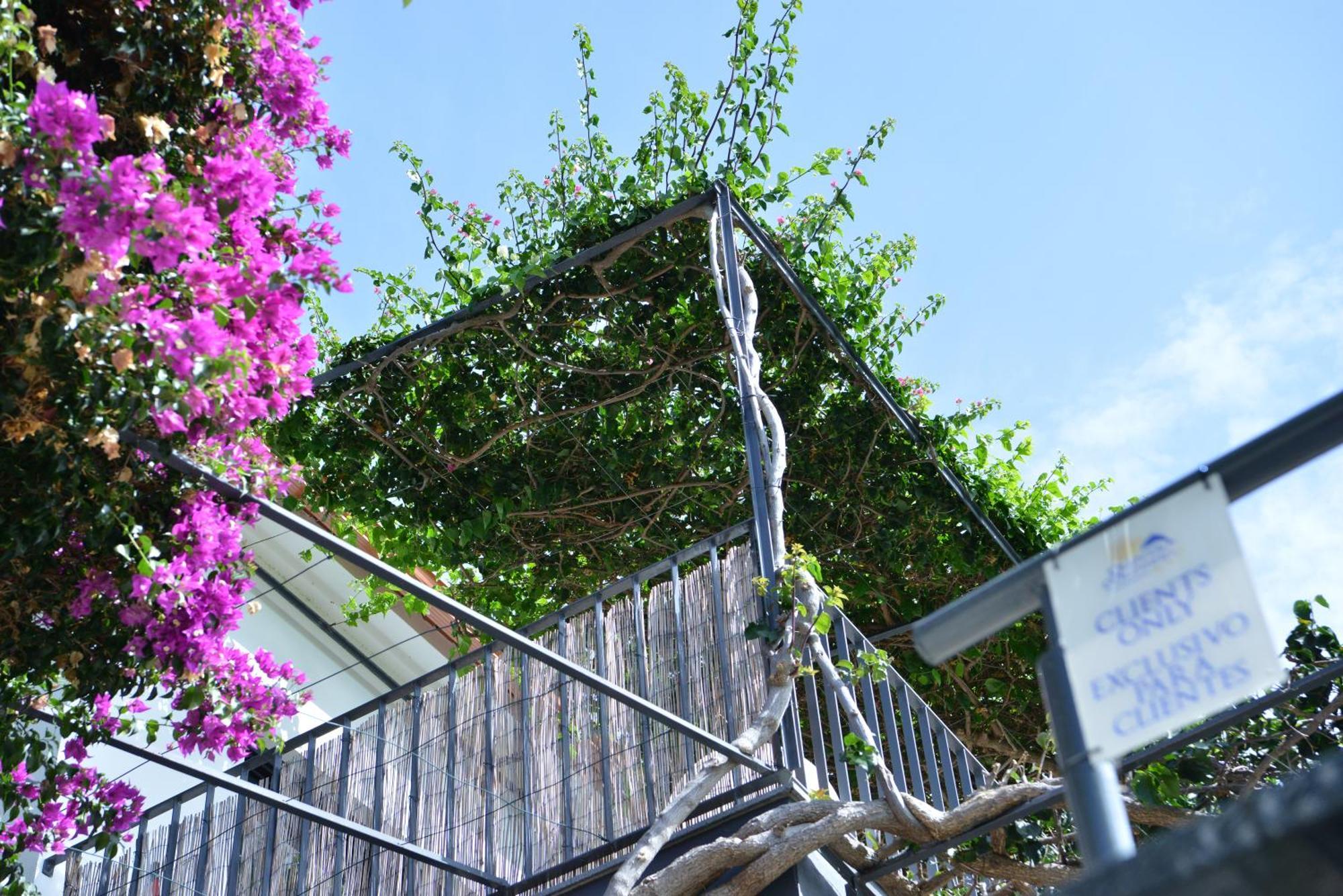 Apartamento Quinta Golfinho Arco da Calheta (Madeira)