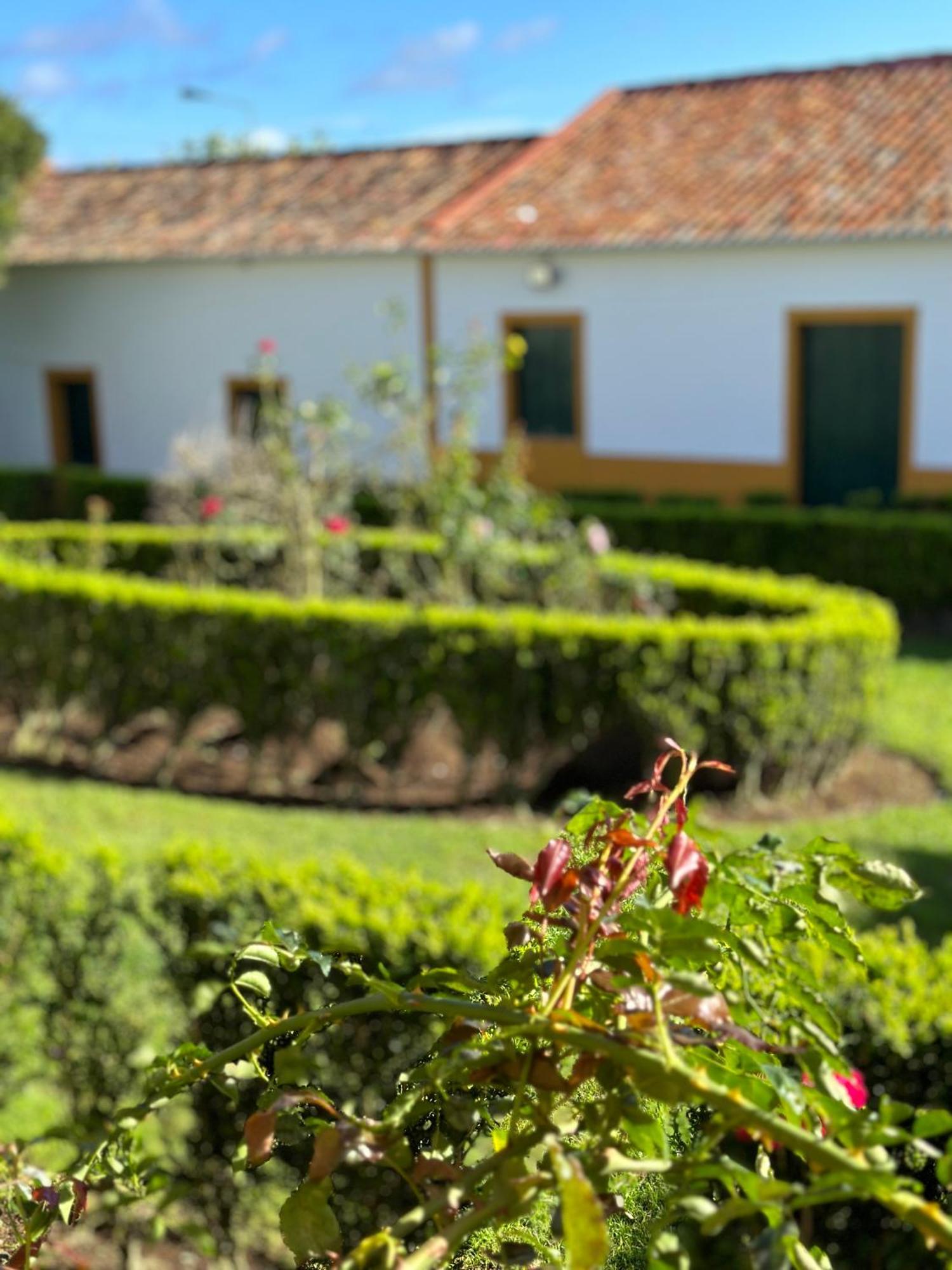 Solar Nossa Senhora Da Conceicao Holiday home *