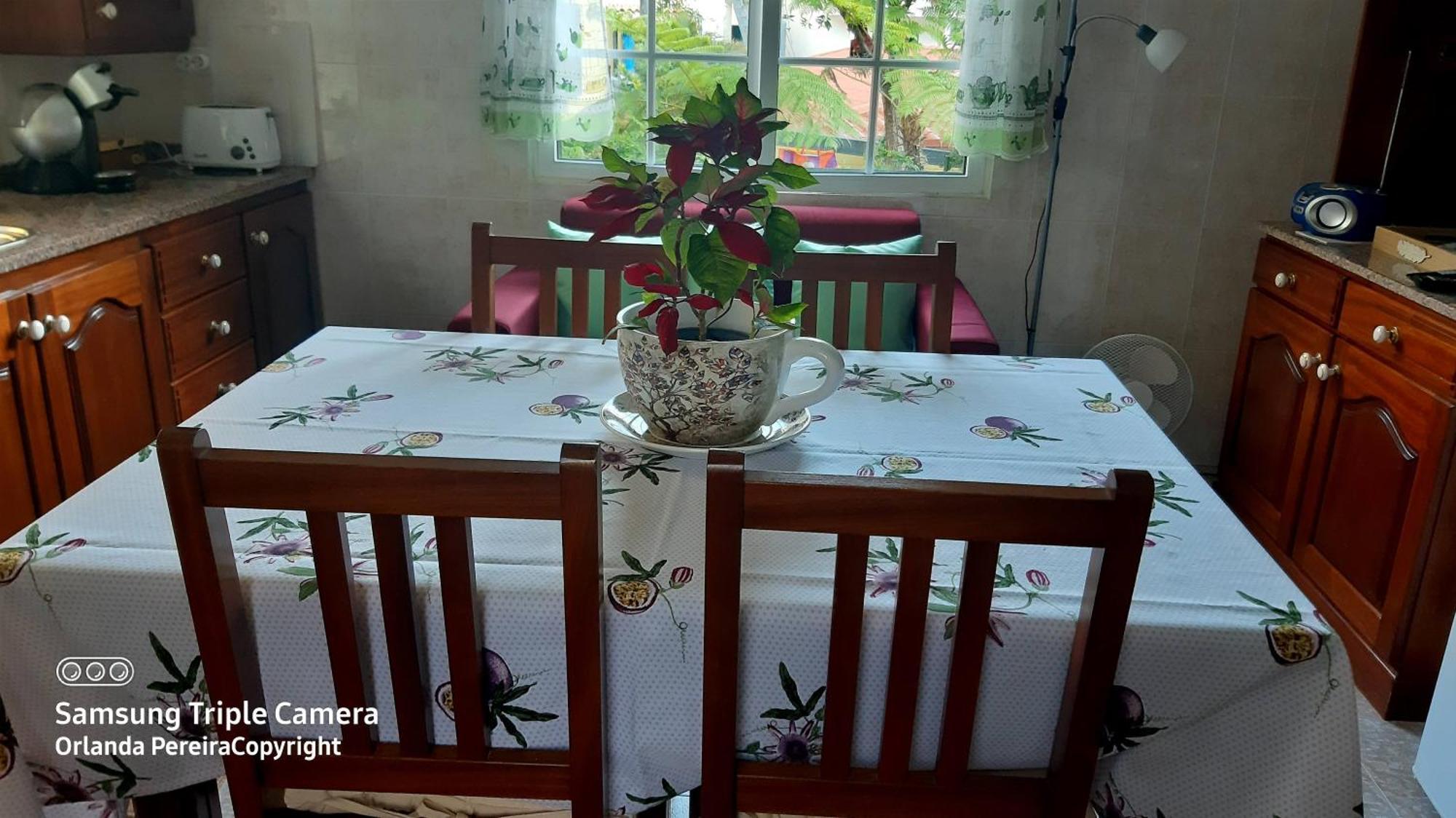 Casa de férias Terra Cha Cottage,feel Home, São Vicente