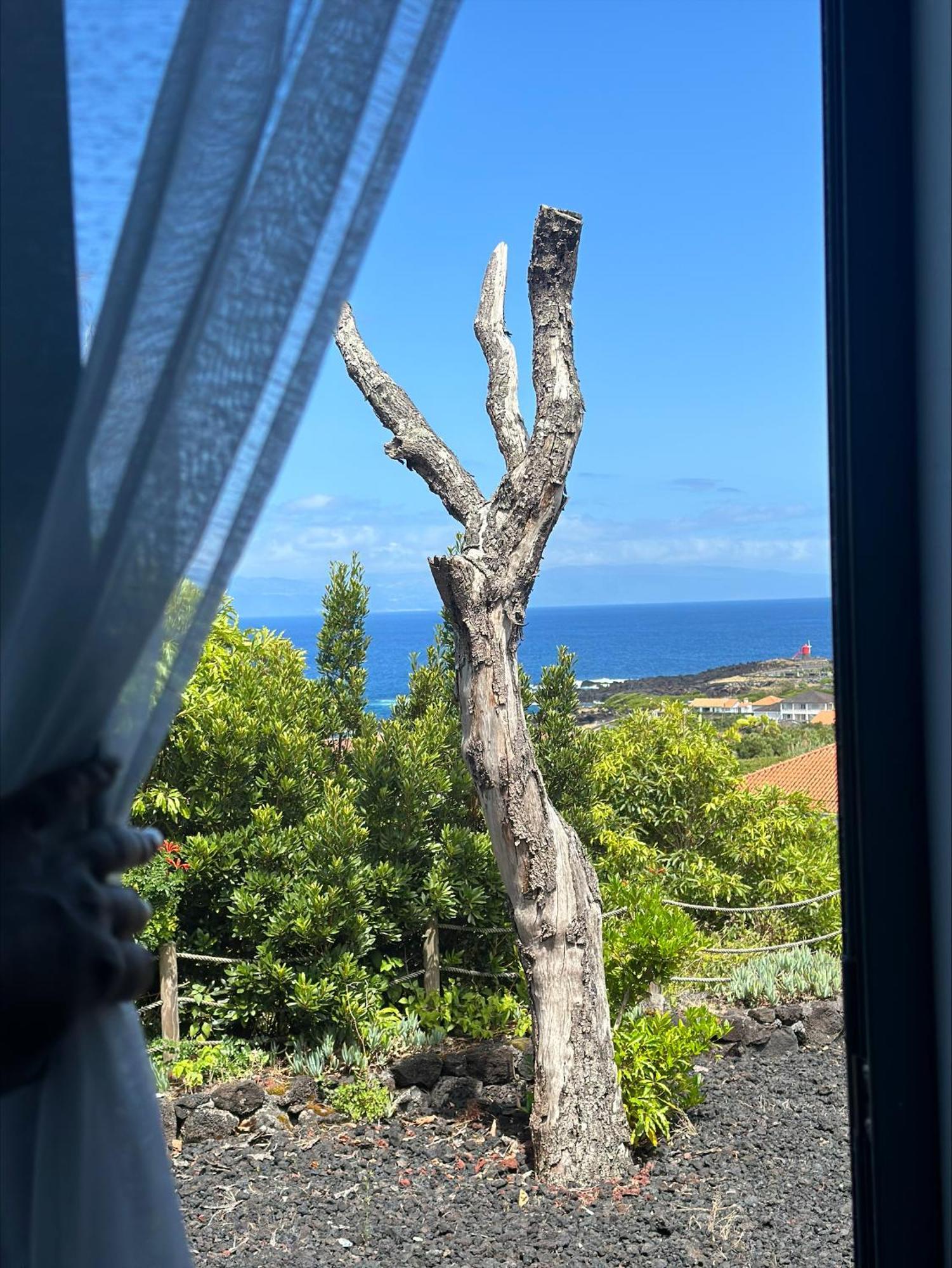 4 Seasons Guest house