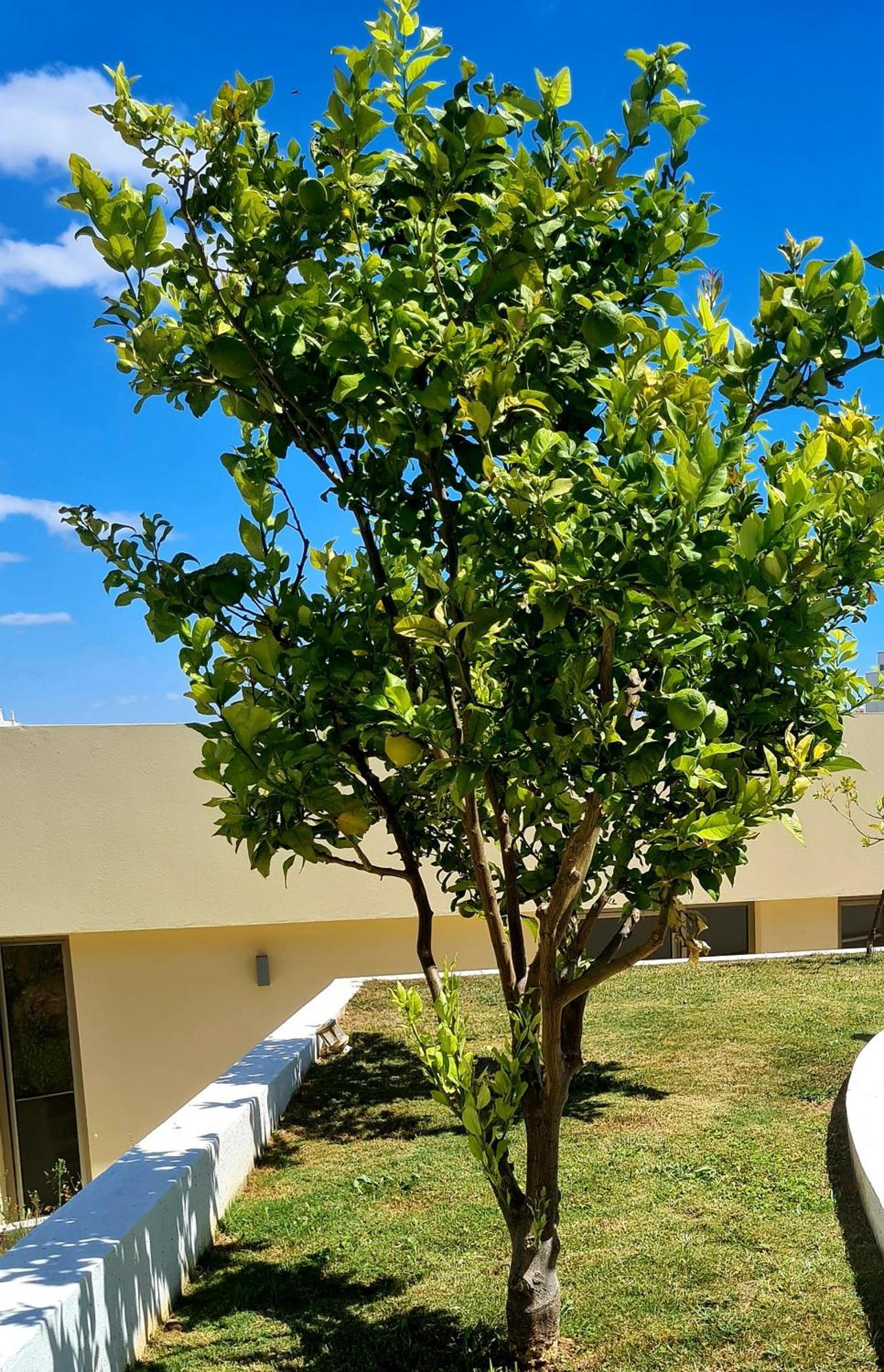 Hostel Supremo Armação de Pêra