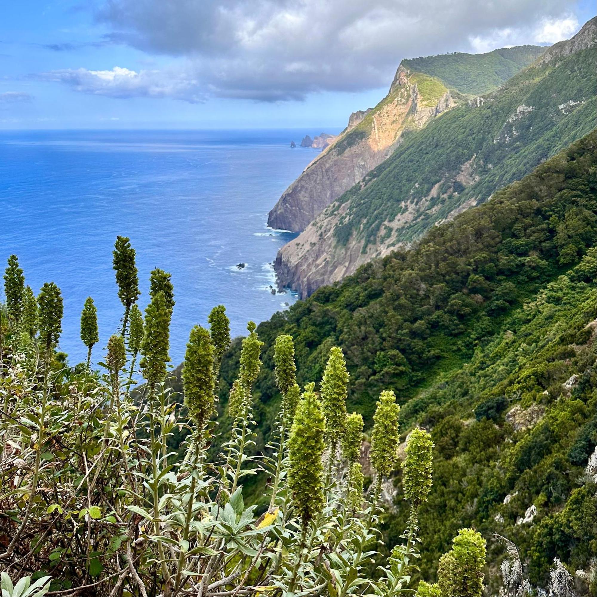 Apartamento Getaway To Blue Paradise At Madeira Island *
