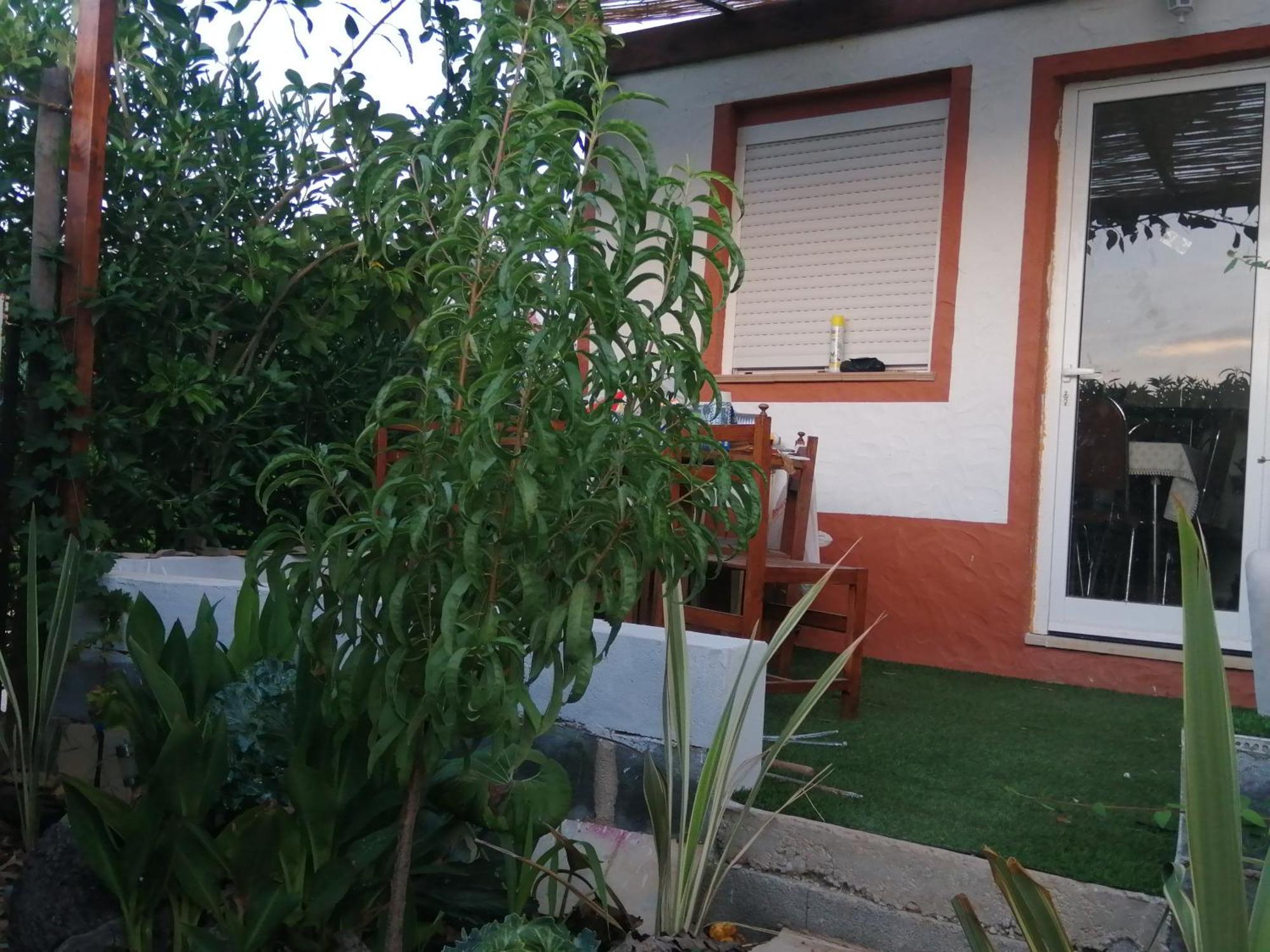 Retiro Dos Sonhos Farm stay Porches (Algarve)