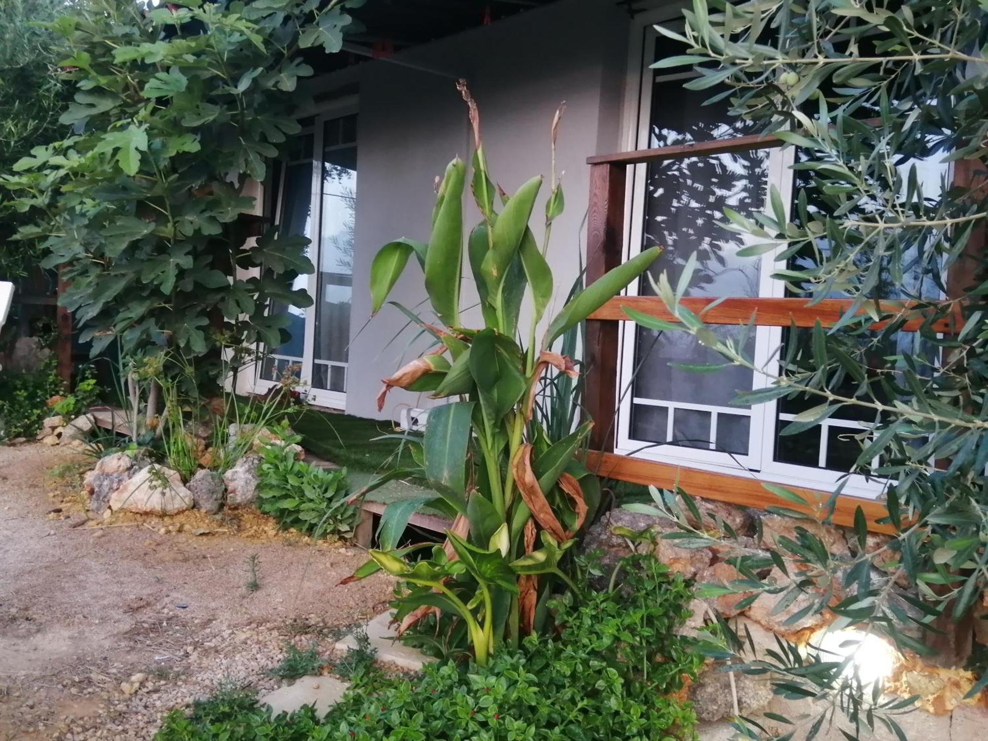 Retiro Dos Sonhos * Porches (Algarve)