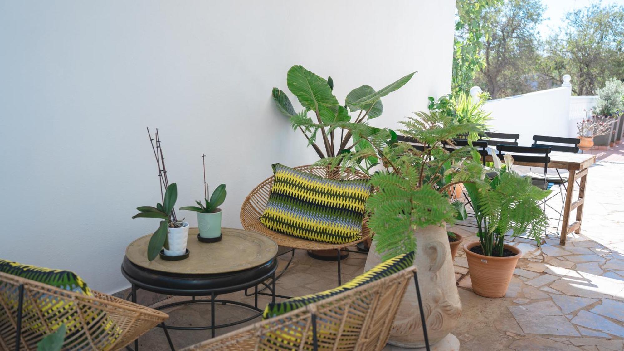 Bed & Breakfast Palm View Guesthouse, Adults Only
