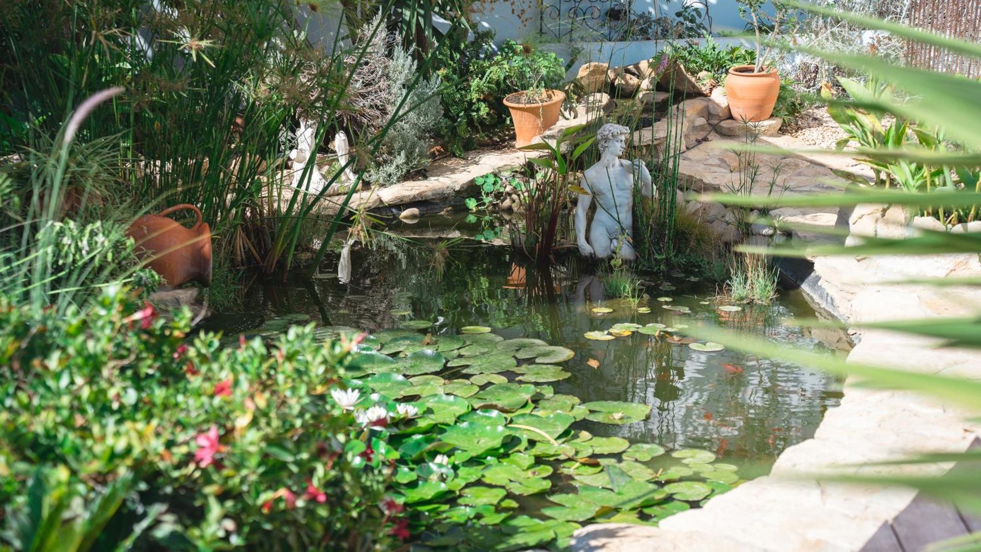 Bed & Breakfast Palm View Guesthouse, Adults Only *