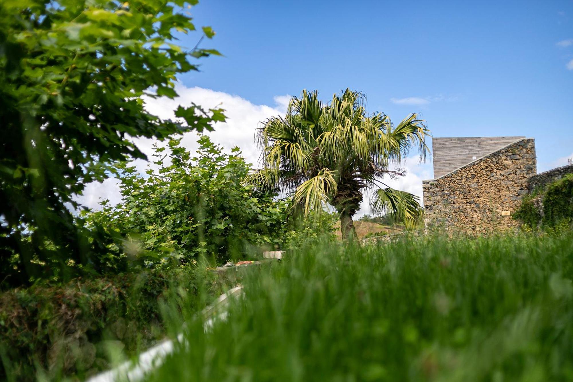 Solar Branco Eco Estate Farm stay