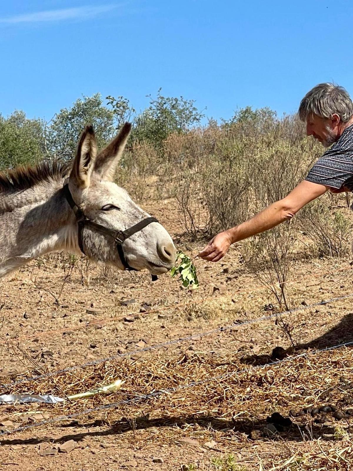 Monte Do Malhao - Art, Eco & Hotel Castro Marim