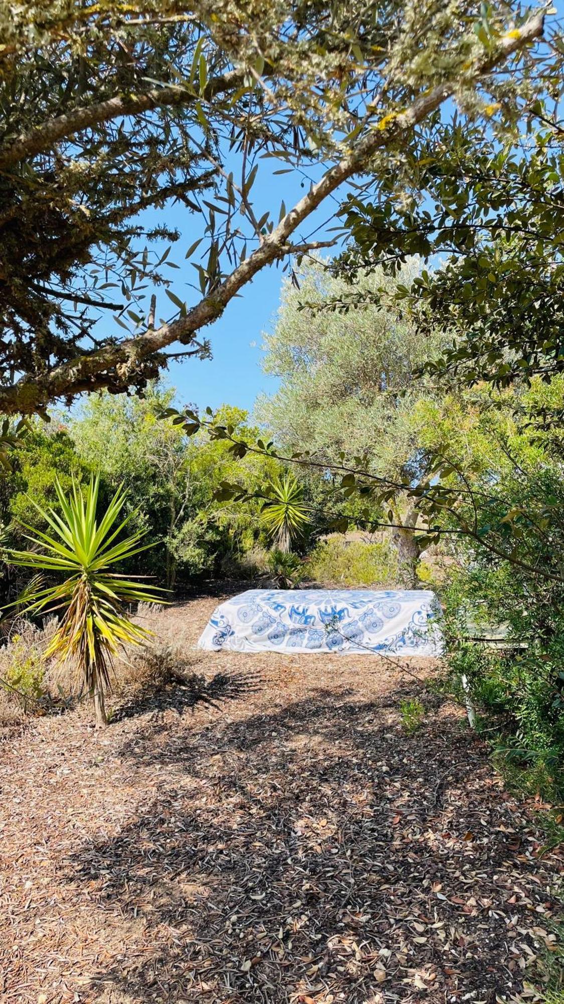 Holiday home Dona Maria 66